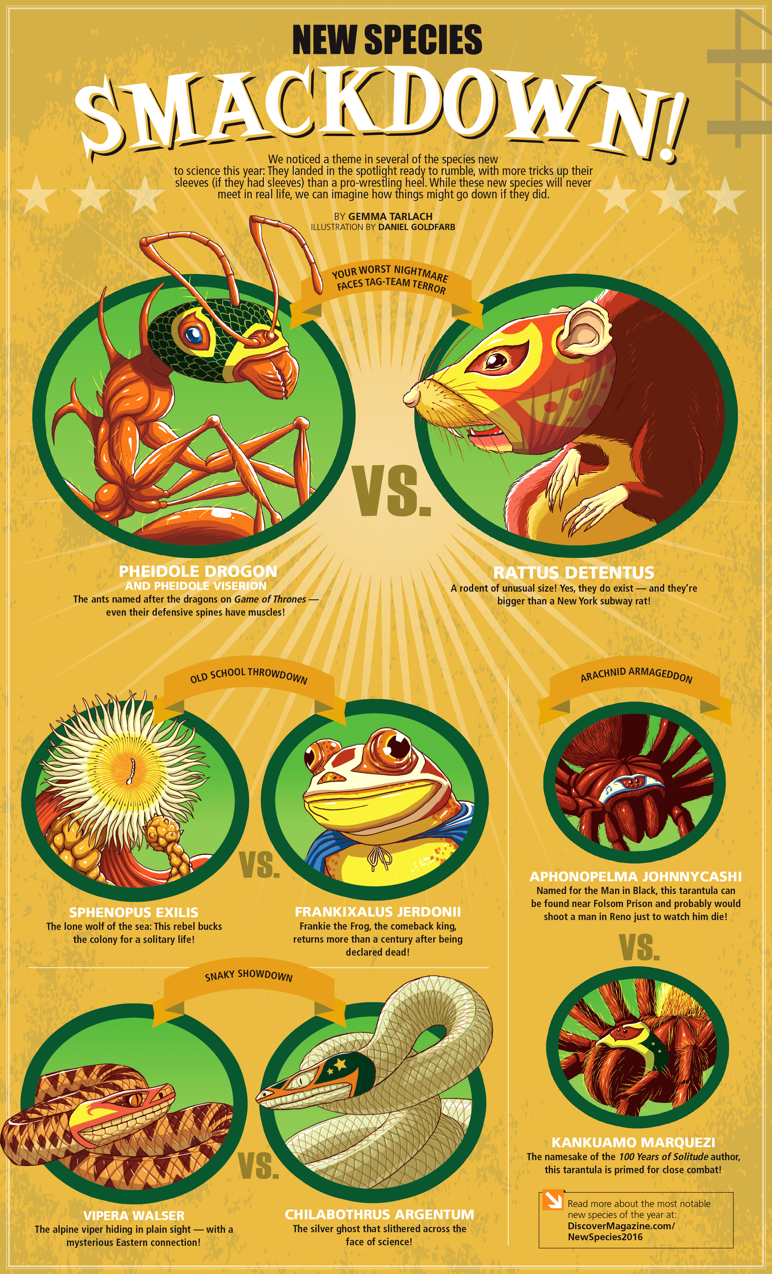 Illustrations for an article on new species of animals discovered in 2016, Lucha Libre style. Discover Magazine. January 15th, 2017.