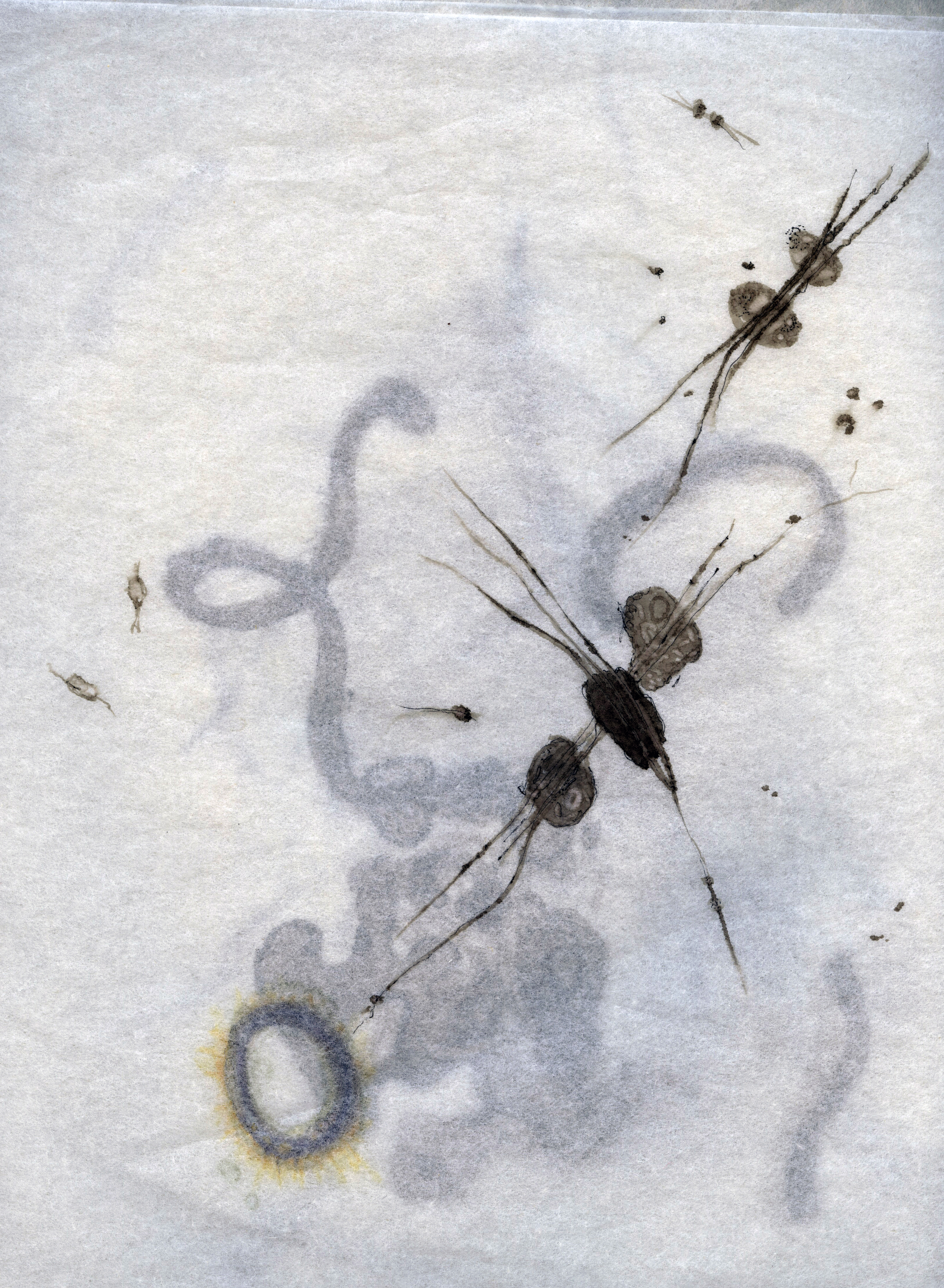 "Untitled Specimen Drawing Stack I", 8"x10", alcohol ink on silkspan tissue paper. 2019