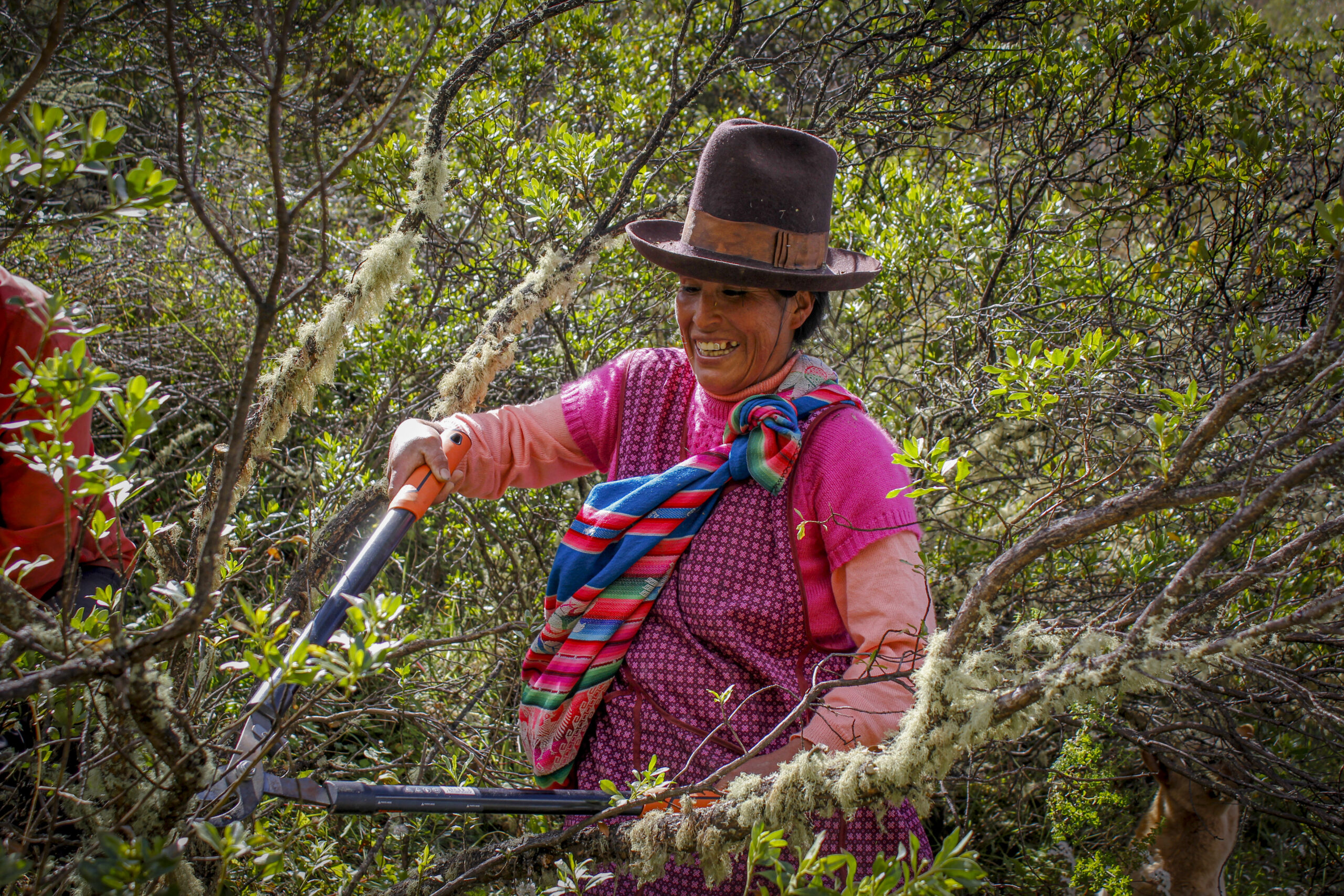 Equipo de Valle Sagrado Verde realizando actividades de reforestación y restauración ecológica en el Valle Sagrado, Cusco.