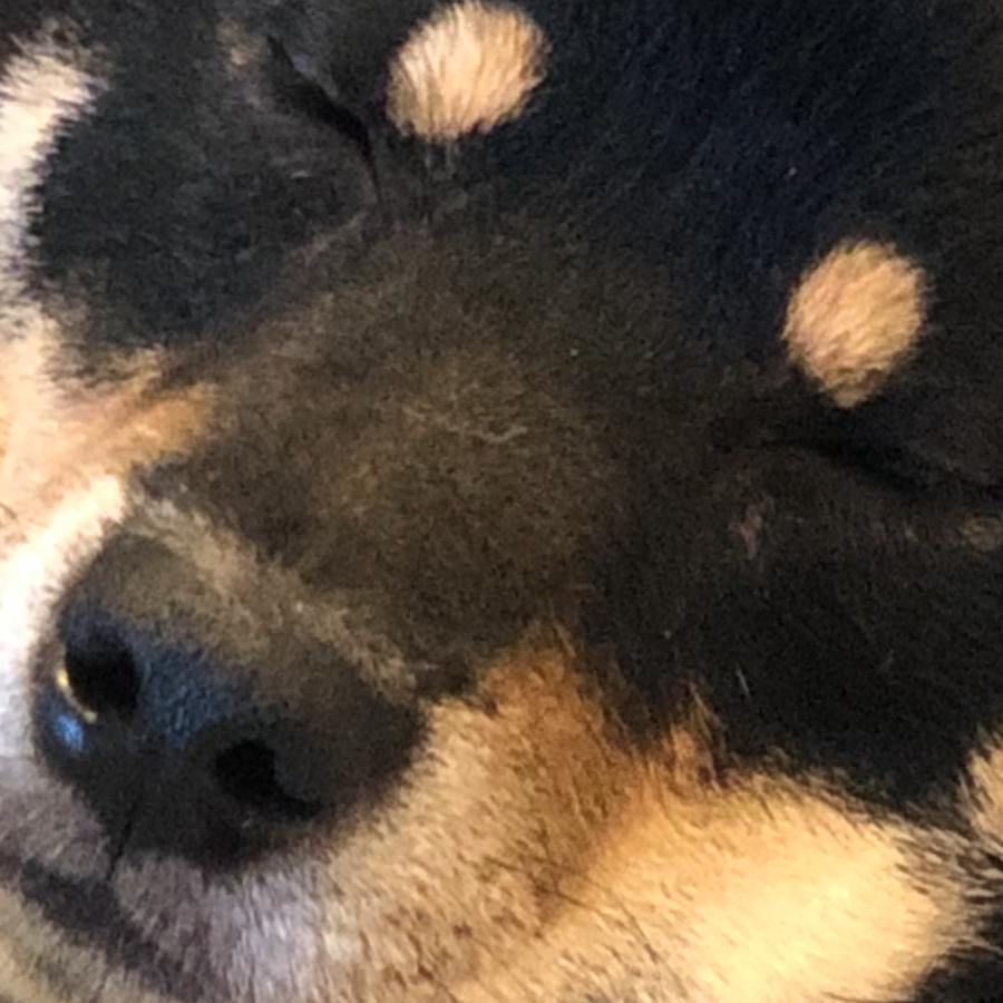 509 Bandwidth Limit Exceeded