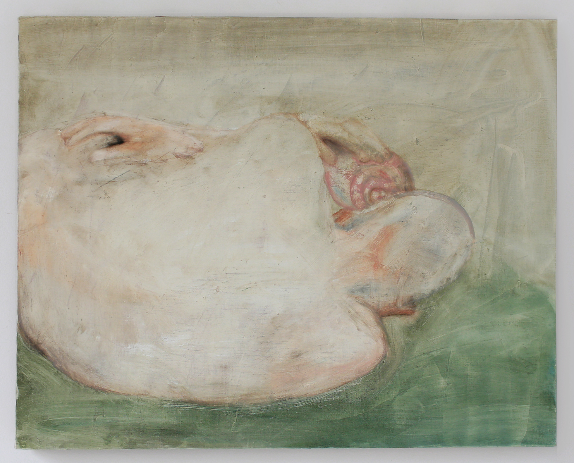 Shell, Oil on Linen, 24 x 30 in