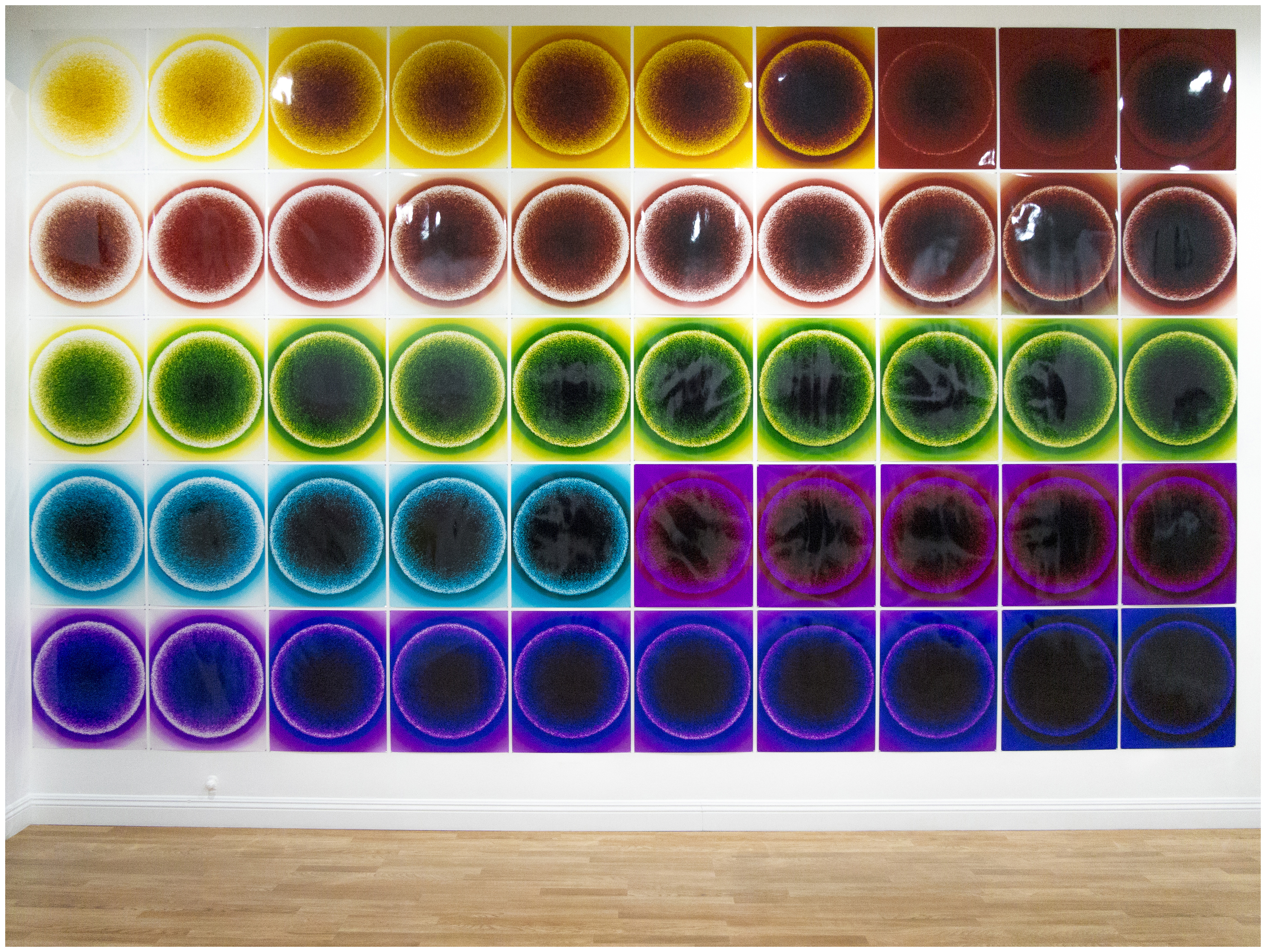 High Productivity Pads #2 (installation view), 2016Photograms on fifty pack of glossy RA-4 paper, nails210 x 125 x .016 in.533.4 x 317.5 x .04 cm