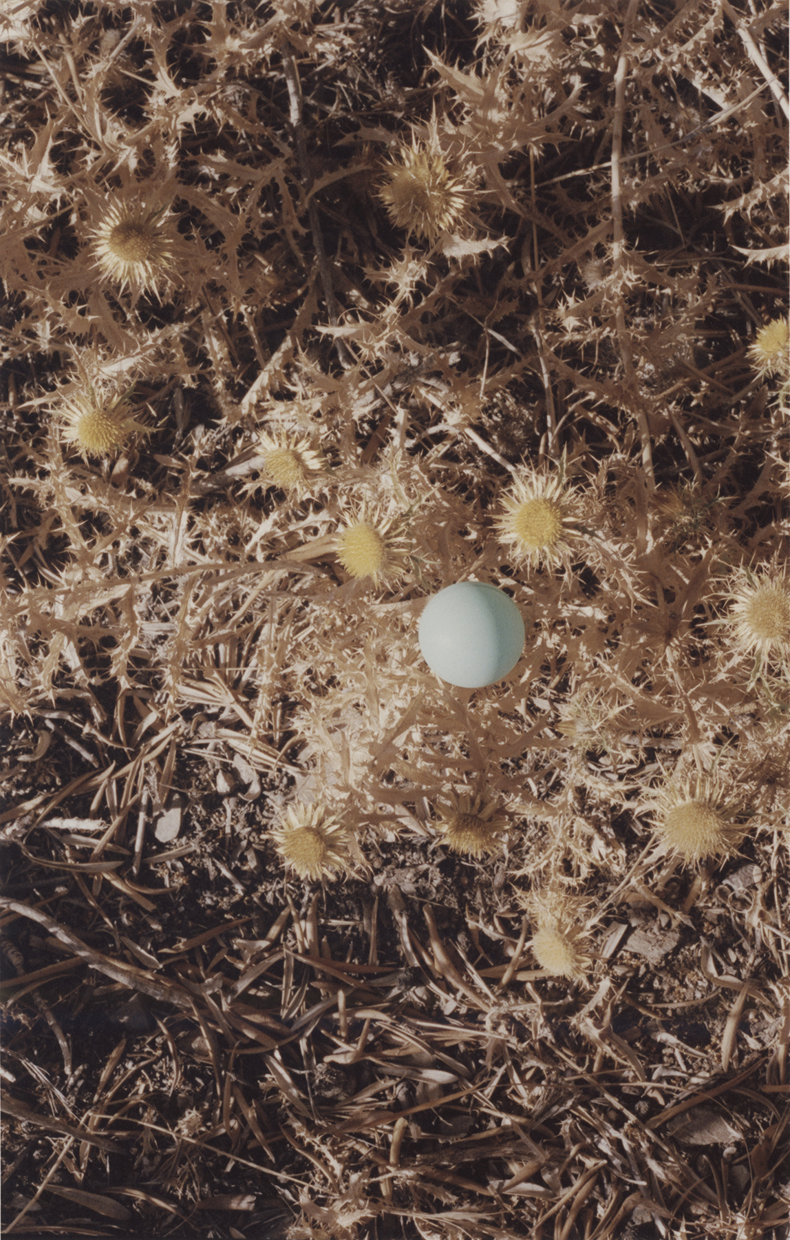 Chance Encounters. (4/8)