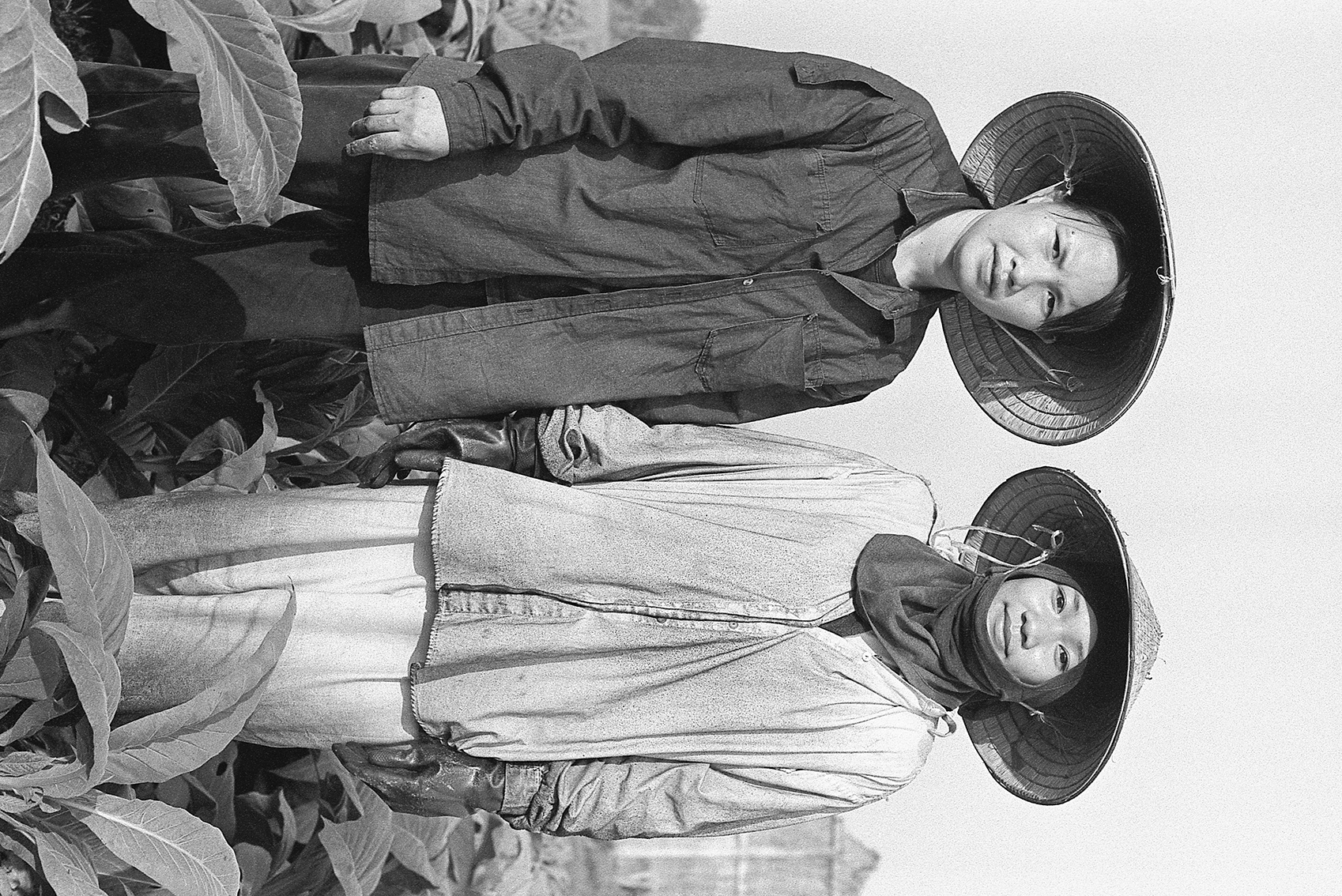 Julien Crégut - Eastern - RDP Lao - 2004/2008 -©juliencregut