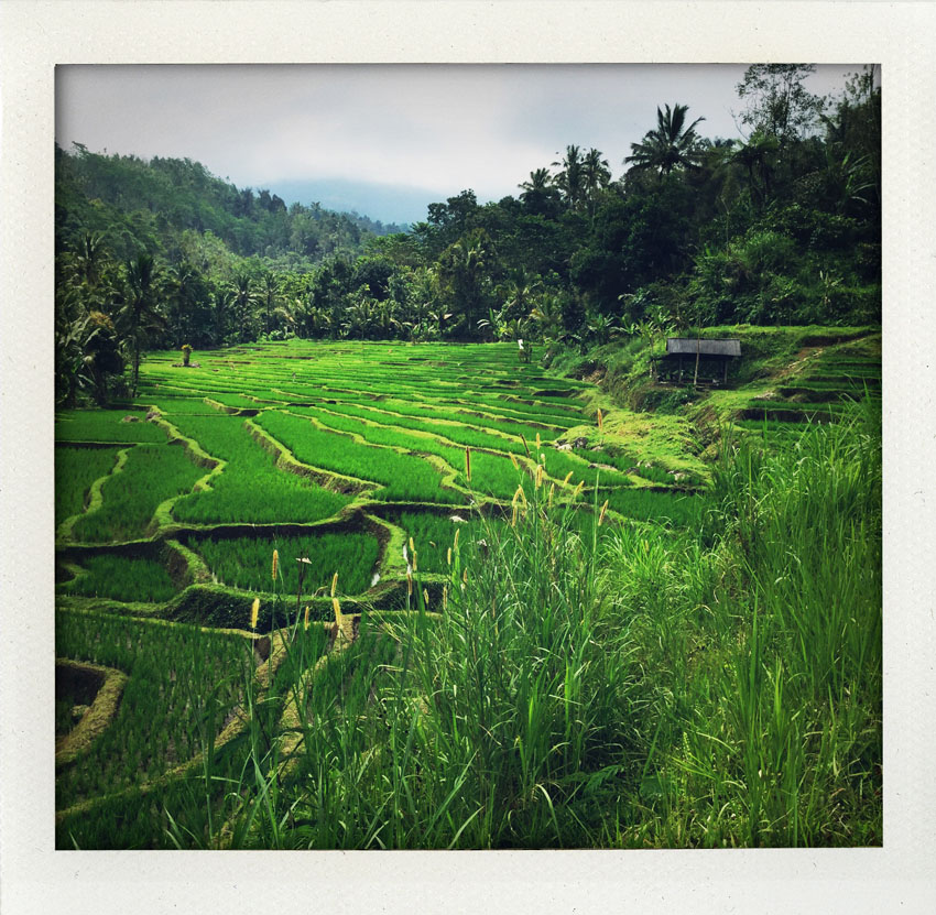 2015/08 Bali Indonesia