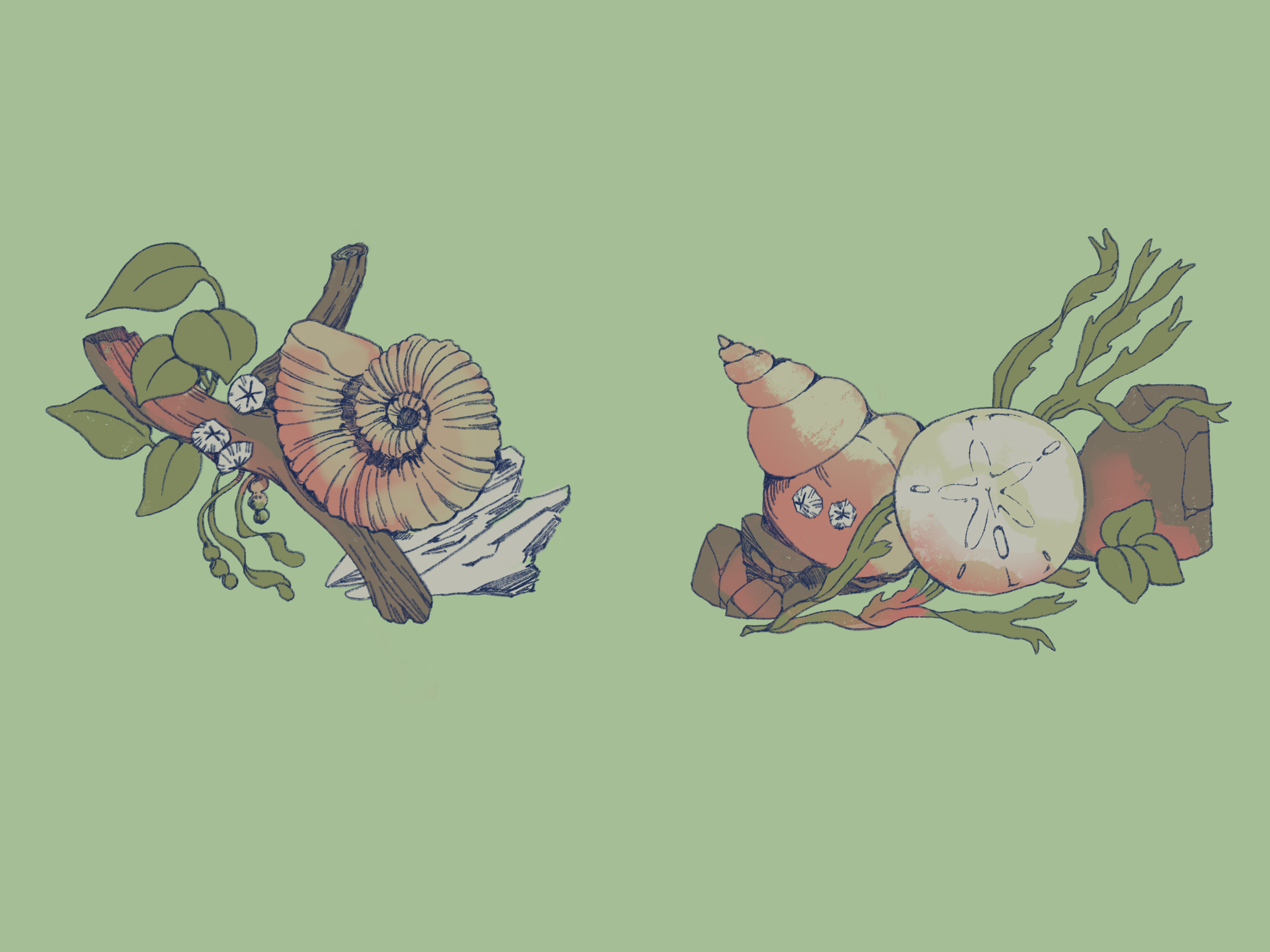 Limestone endpaper, digital illustration, 9.25x7 inches, 2023