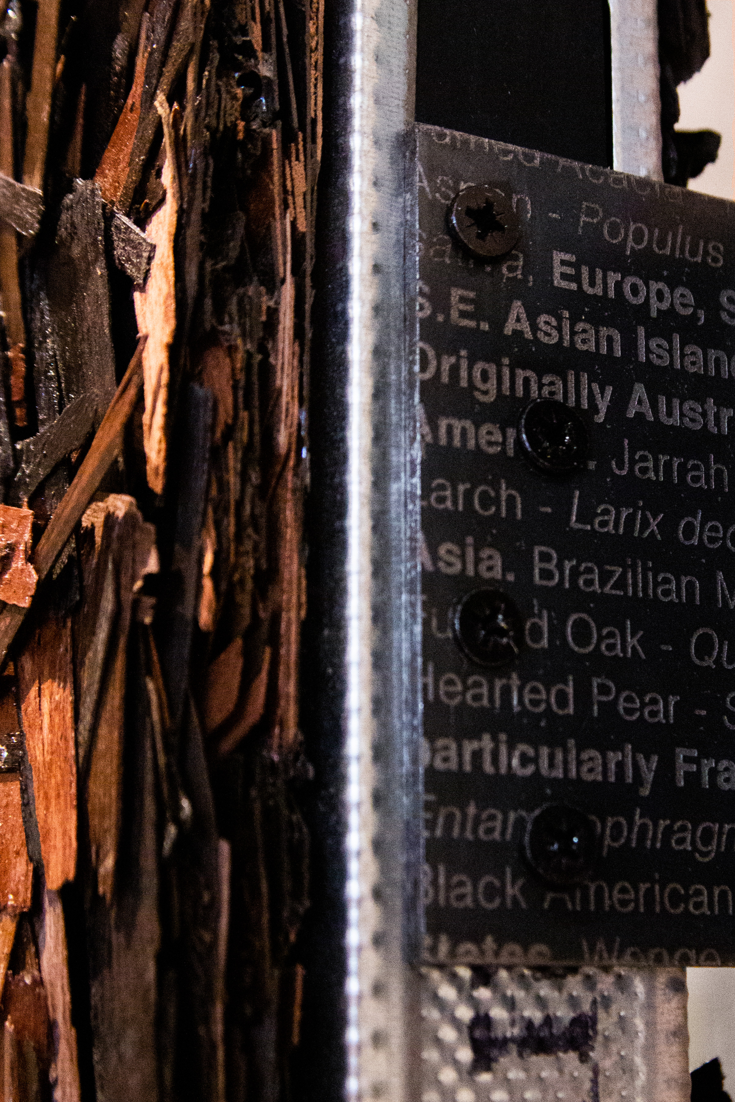 The same way you came in?, 2021. Detail