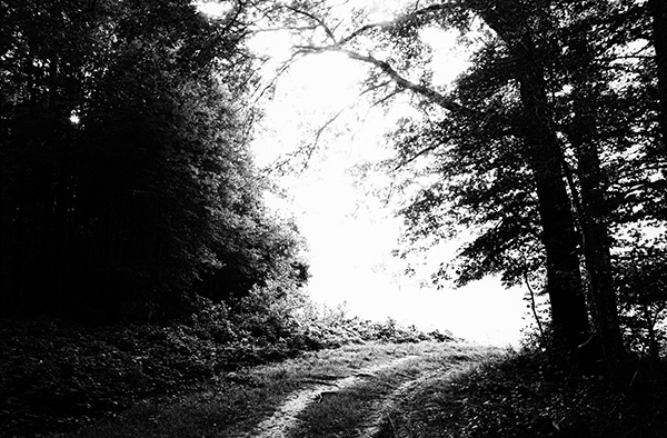 lichtwendig, Karlsruhe 2010, Bartabzug 72x110cm