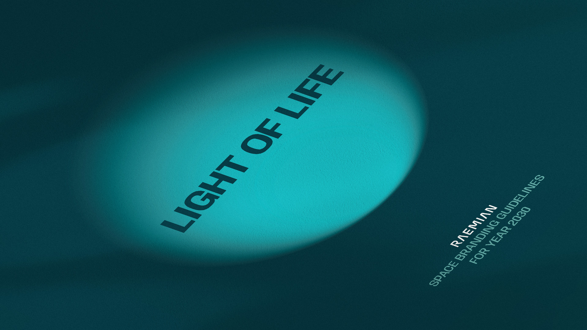 RAEMIAN SPACE BRANDING GUIDELINES 	