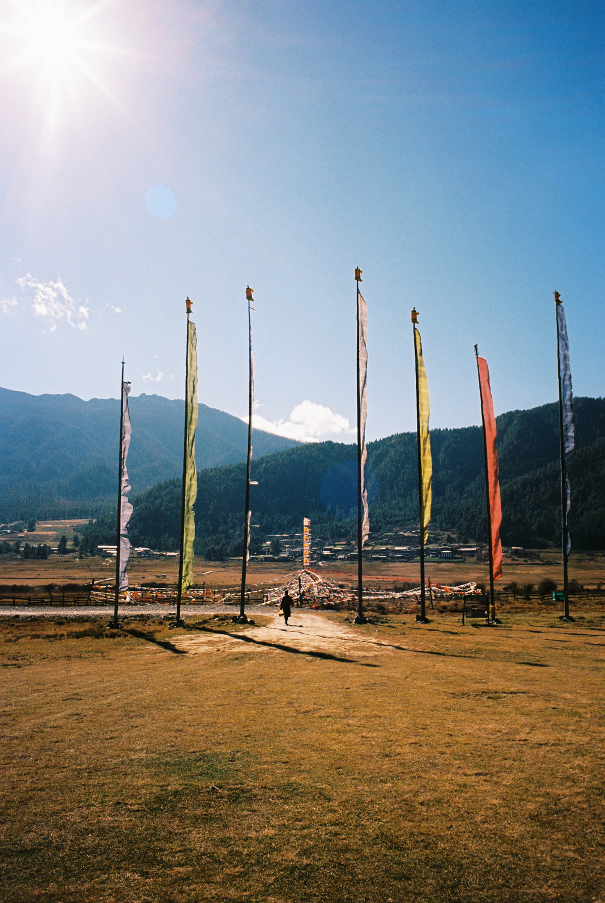 Prayer flags, also serving as an entrance to Phobjikha Valley