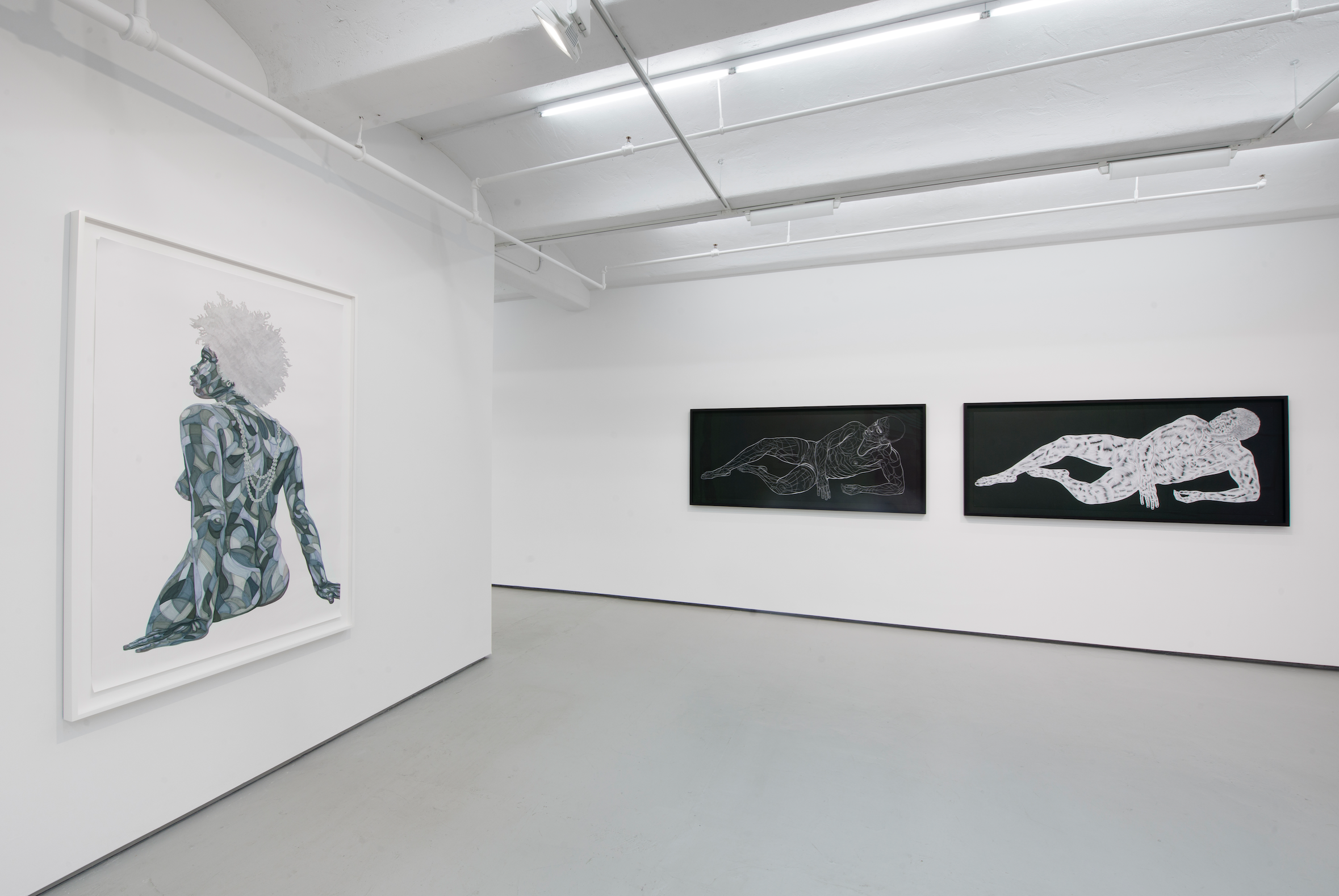 Toyin Ojih Odutola: Of Context and Without, installation view at Jack Shainman Gallery, 11 December 2015 — 30 January 2016. (Photo Courtesy of Jack Shainman Gallery)