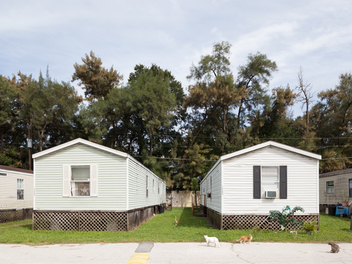 North Tampa Family Park, 2015