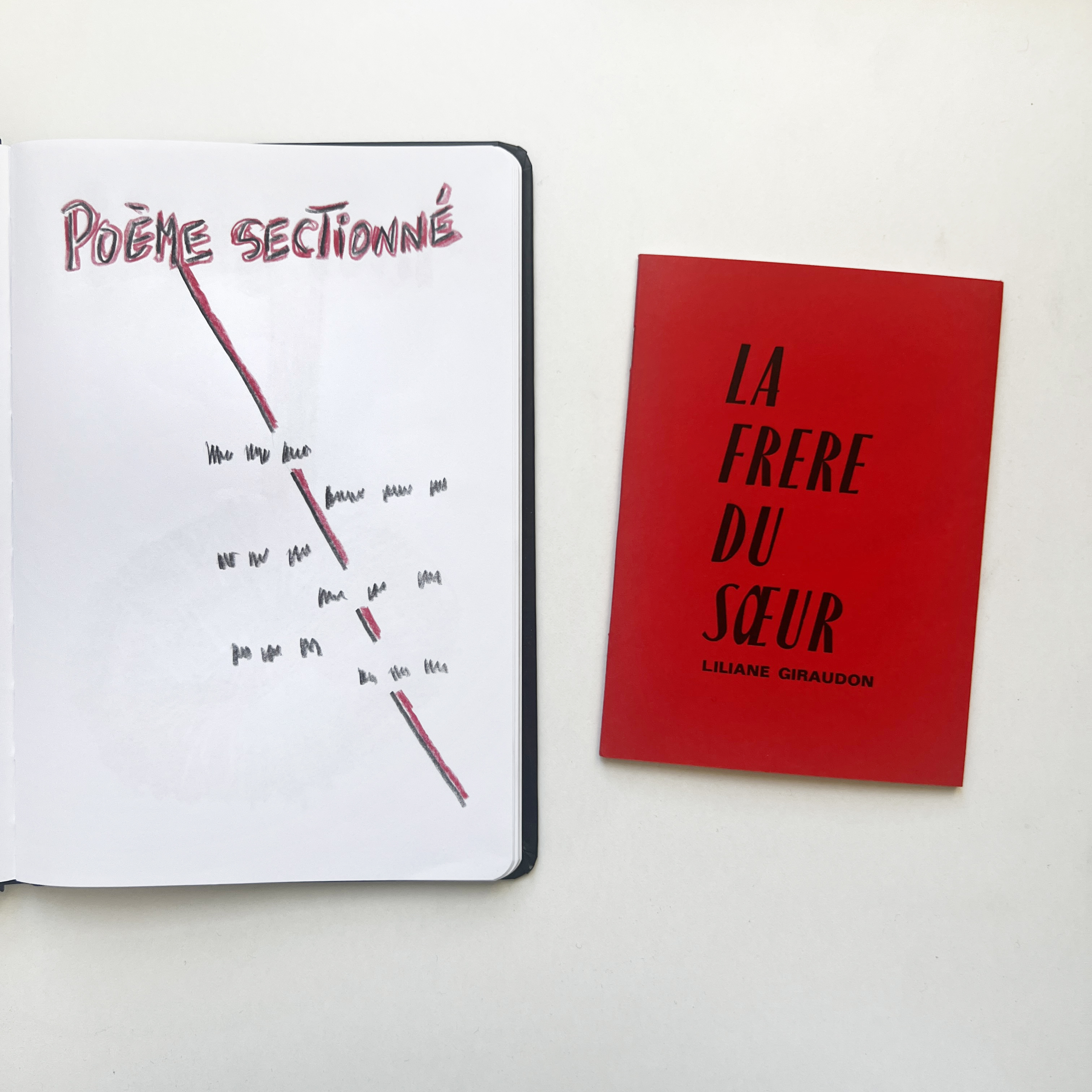 15 - POÈME SECTIONNÉ