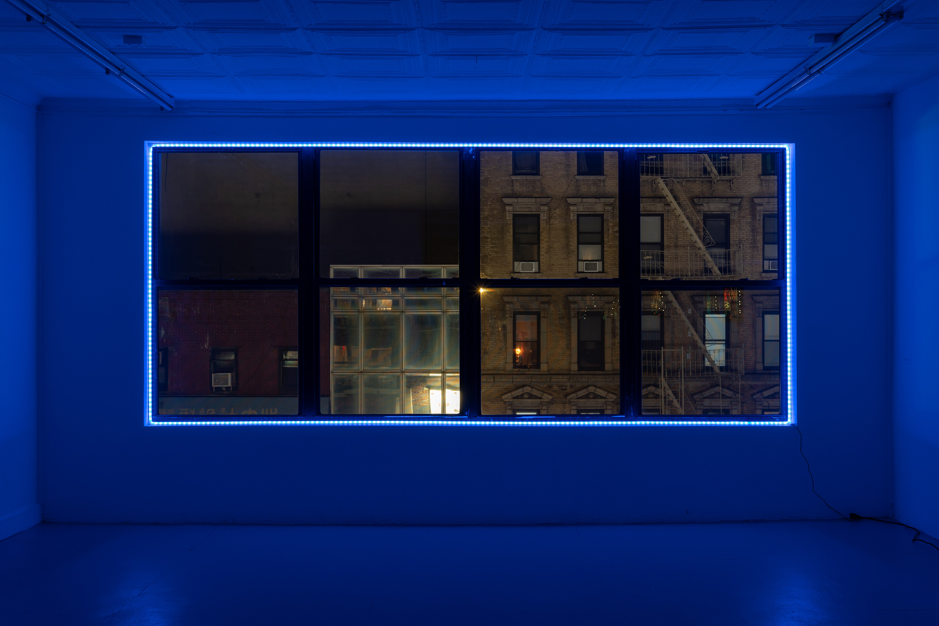 Untitled, 2024, LED lights, dimensions variable
