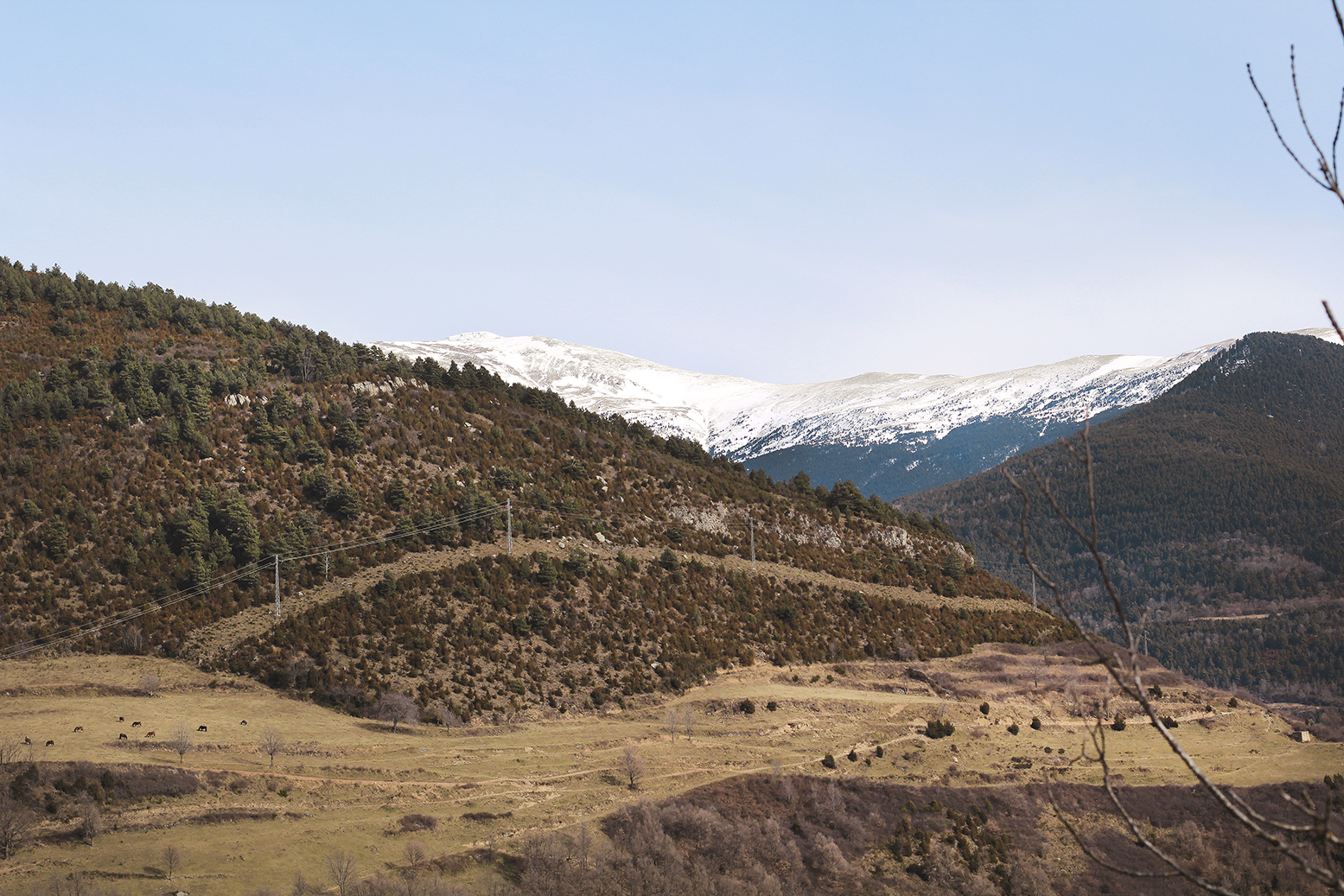 SOMEWHERE IN THE PRE-PYRENEES