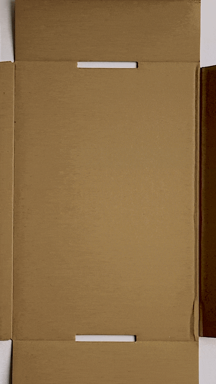 IMG MODELS SS26 SHOWPACK PROMO