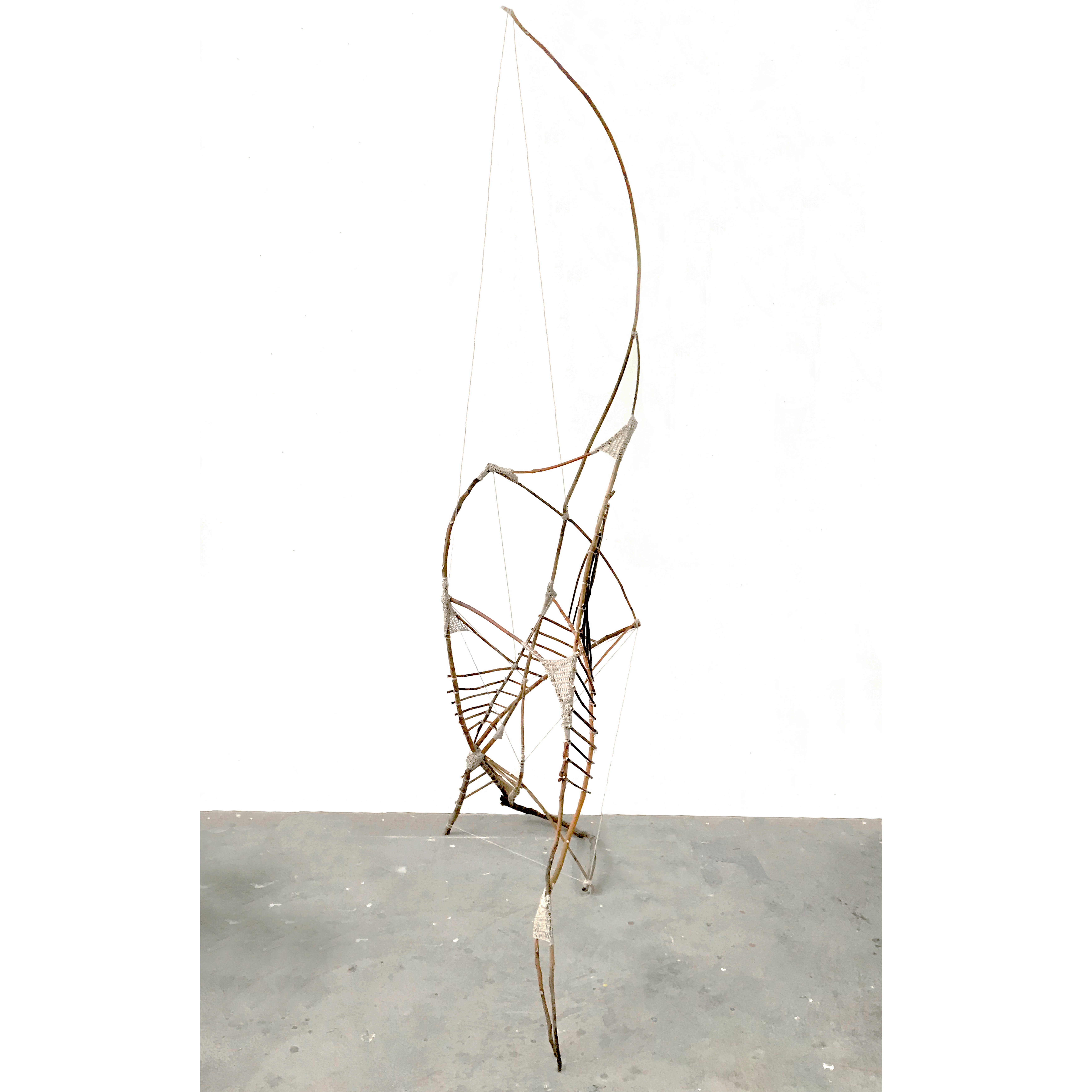 2021/Nature and Culture/Branch-Rope