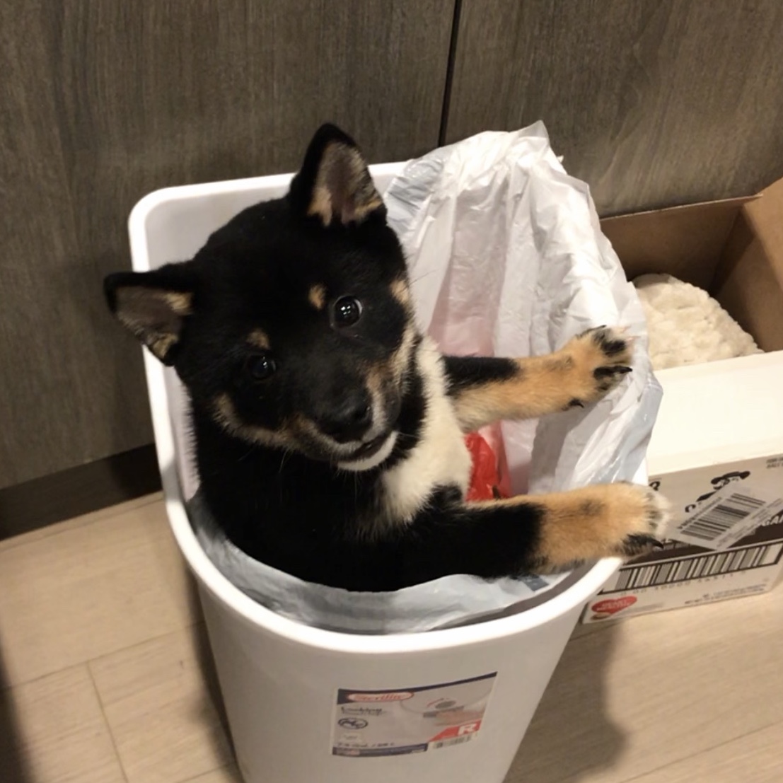 301 Moved Permanently