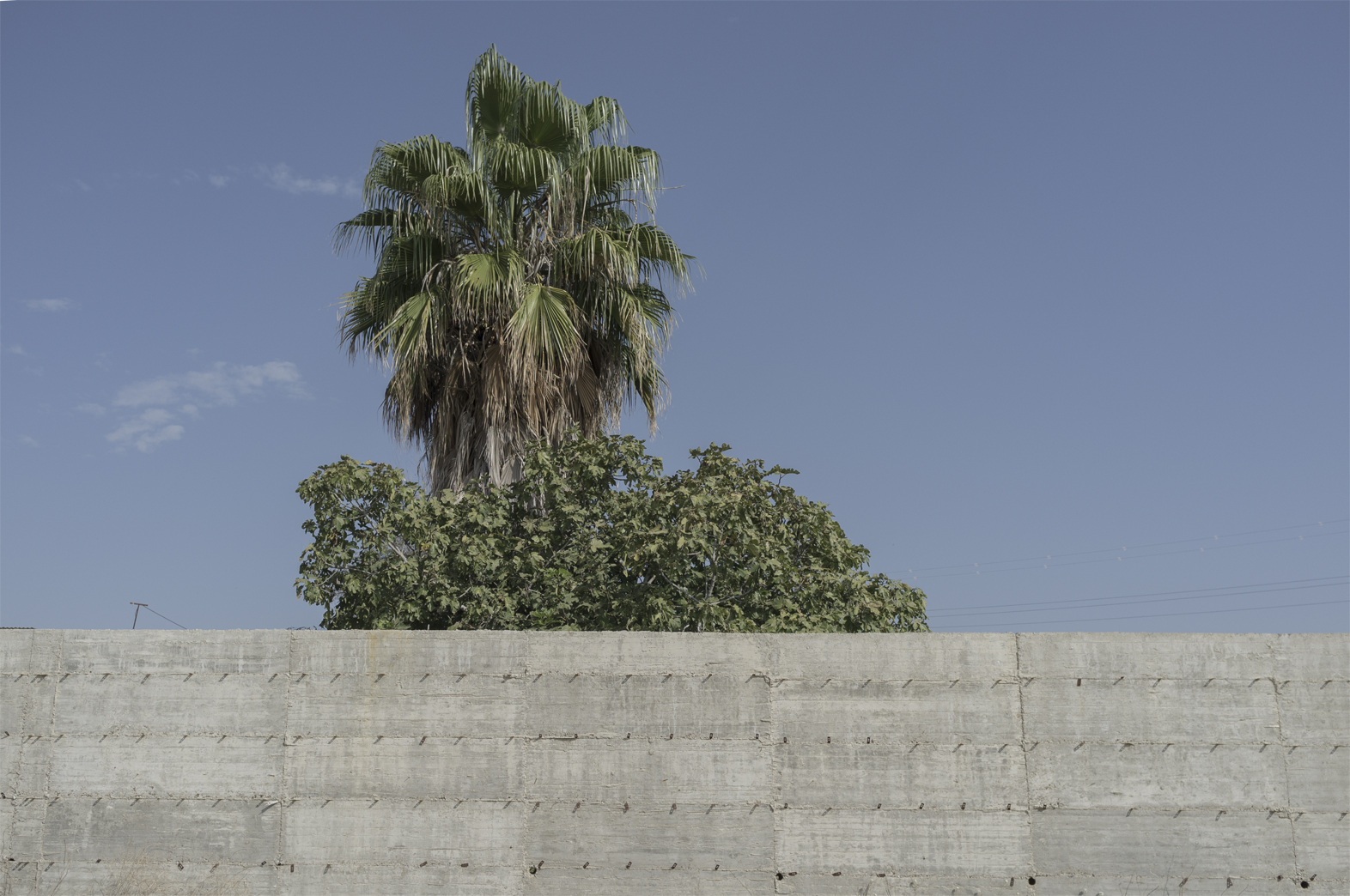 Ensayo fotográfico sobre vegetación arquitectura piedra naturaleza inerte territorios