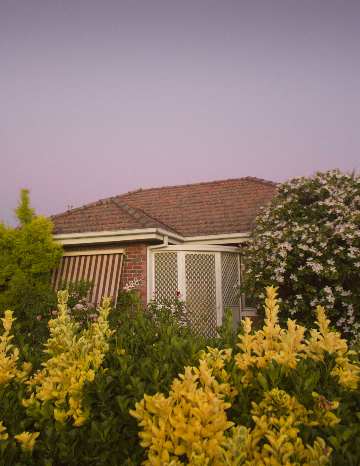 Gilbert Road, from the journal: Where the rays of sun hit in the morning (2017-2018)