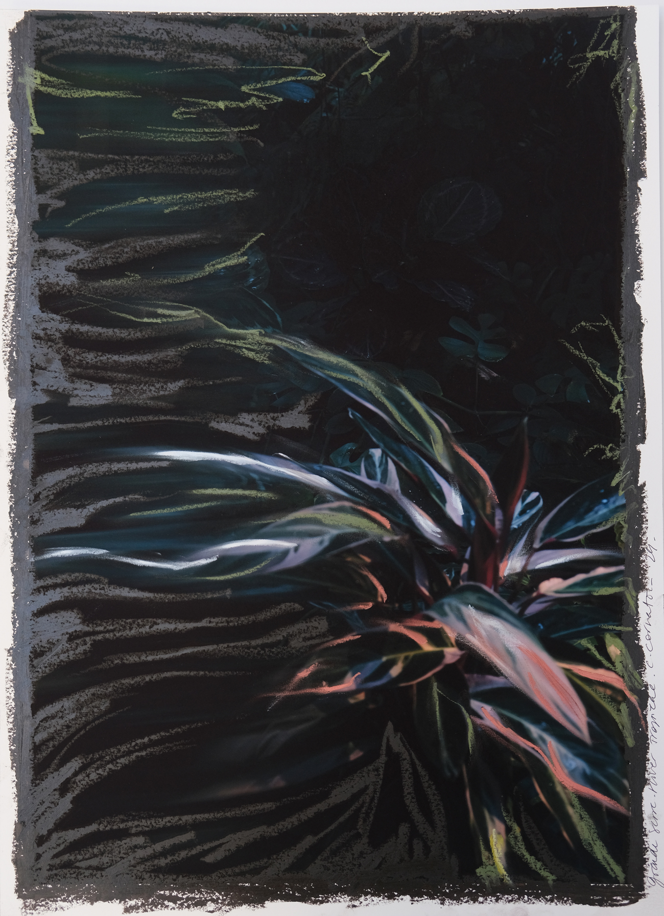 42 x30 cm