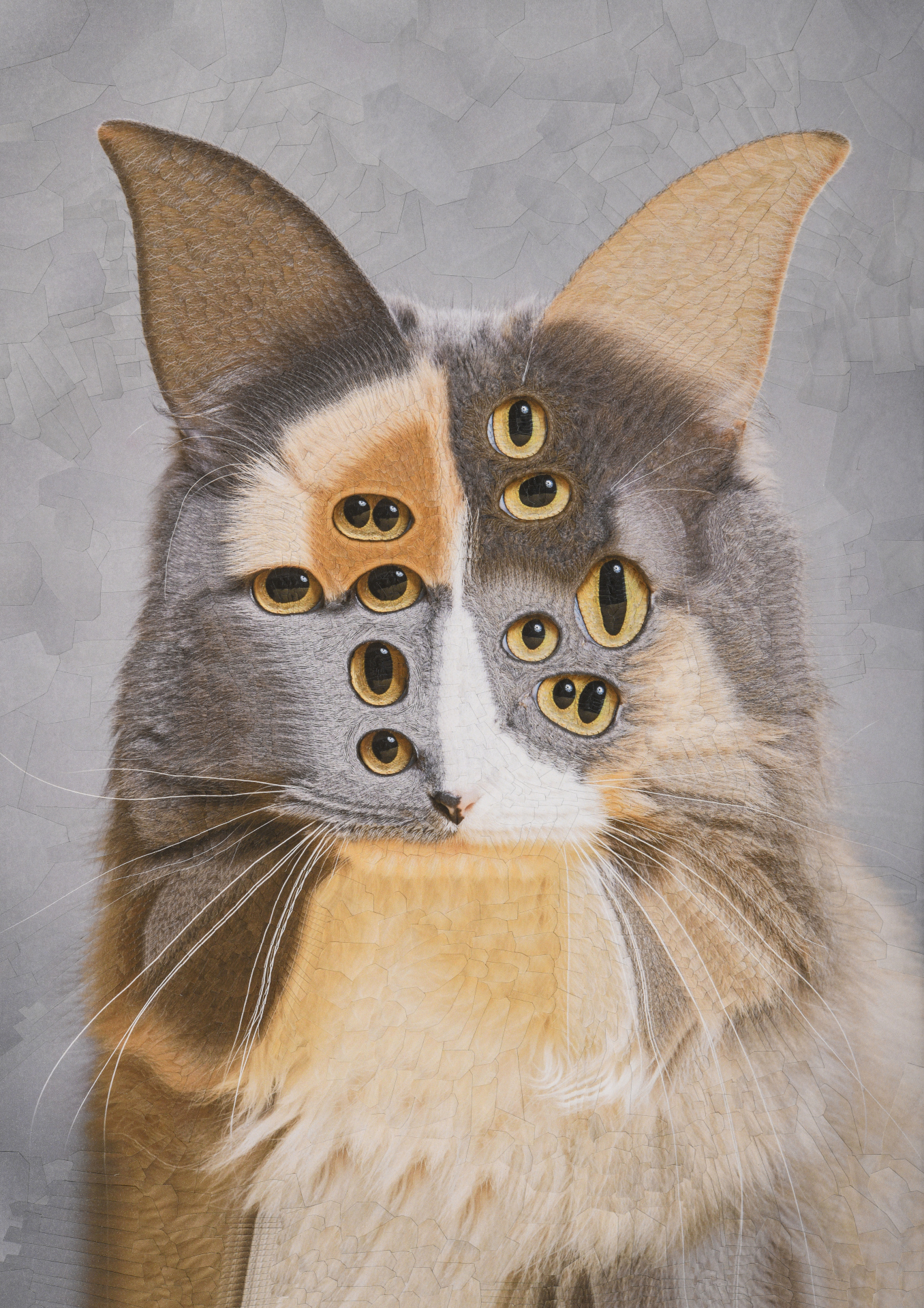 Marmalade, 2024, 11.6 x 16.5 inches