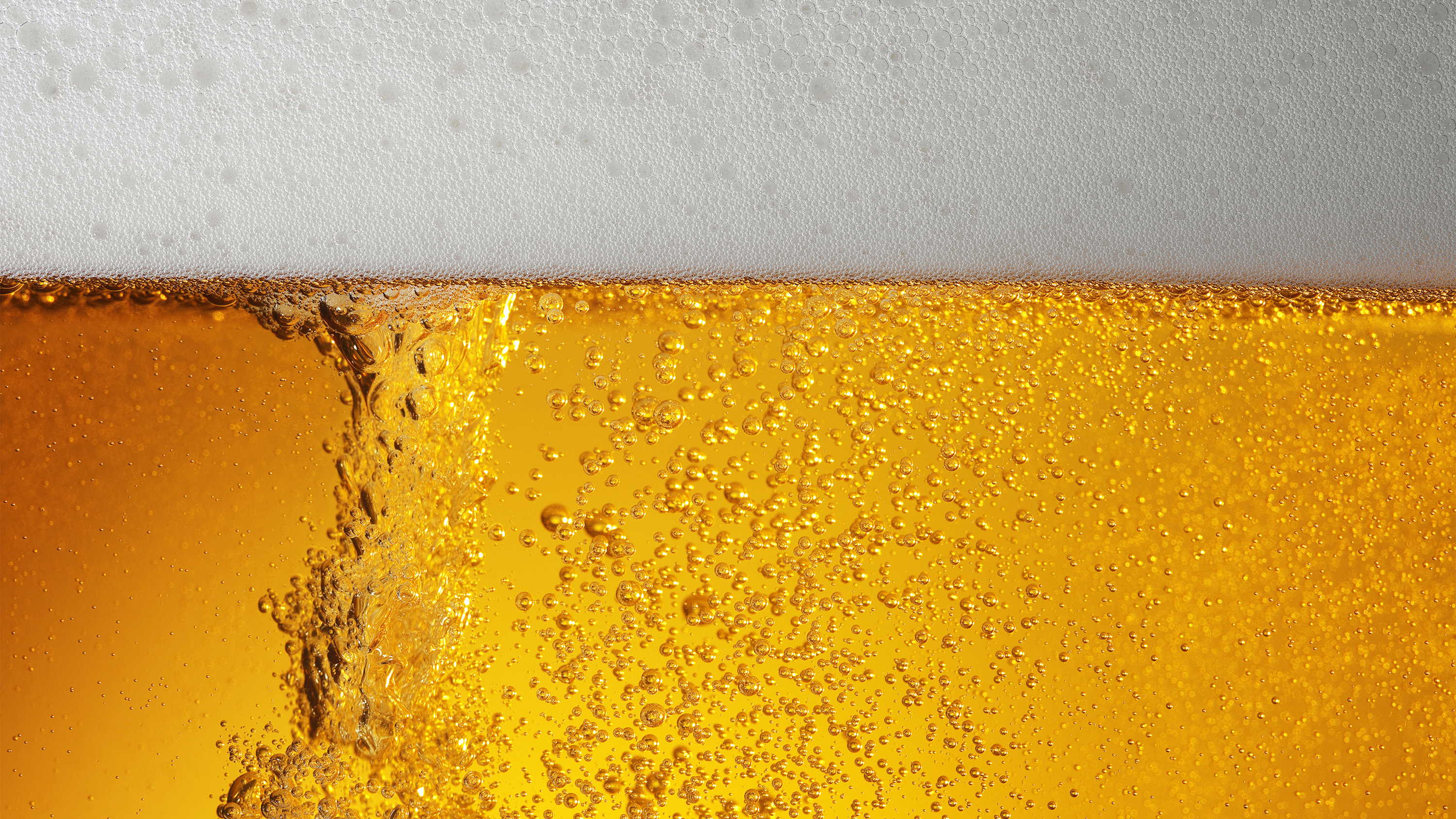 Brewdog — Directors Cut