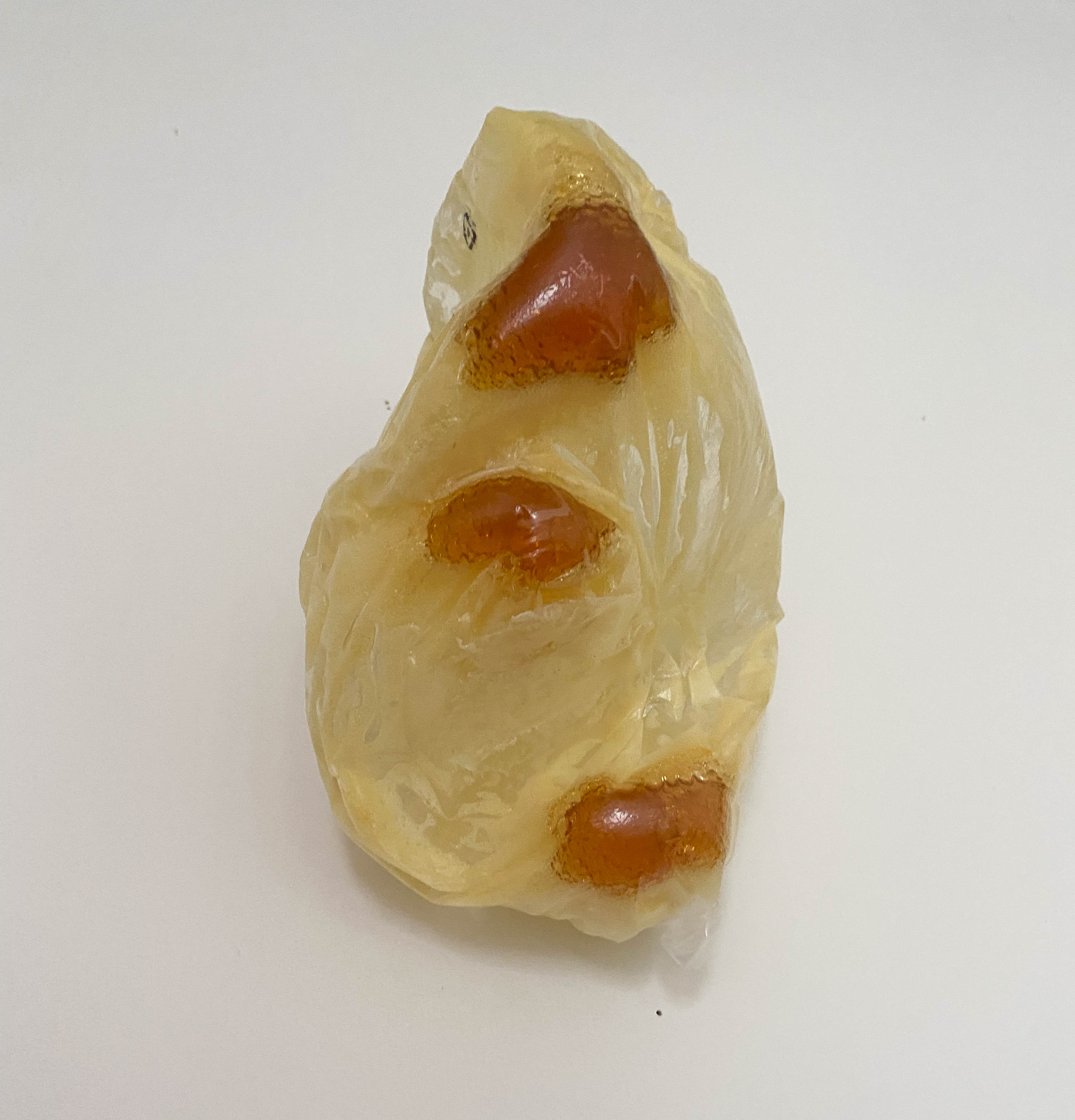 Learn Not to Let Go, 2022