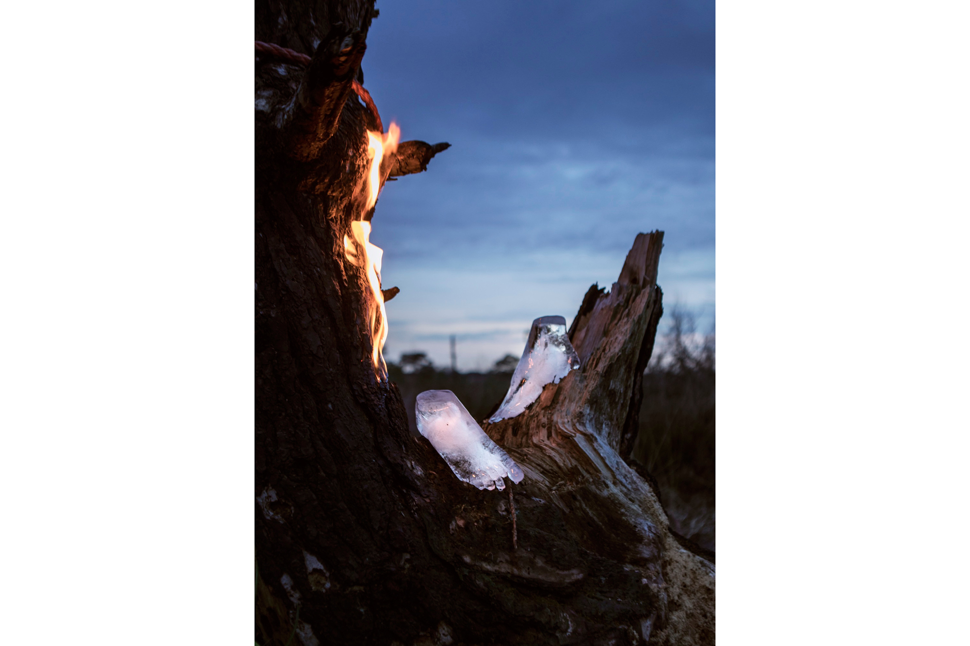 Cold Feet, 2018, MAS museum