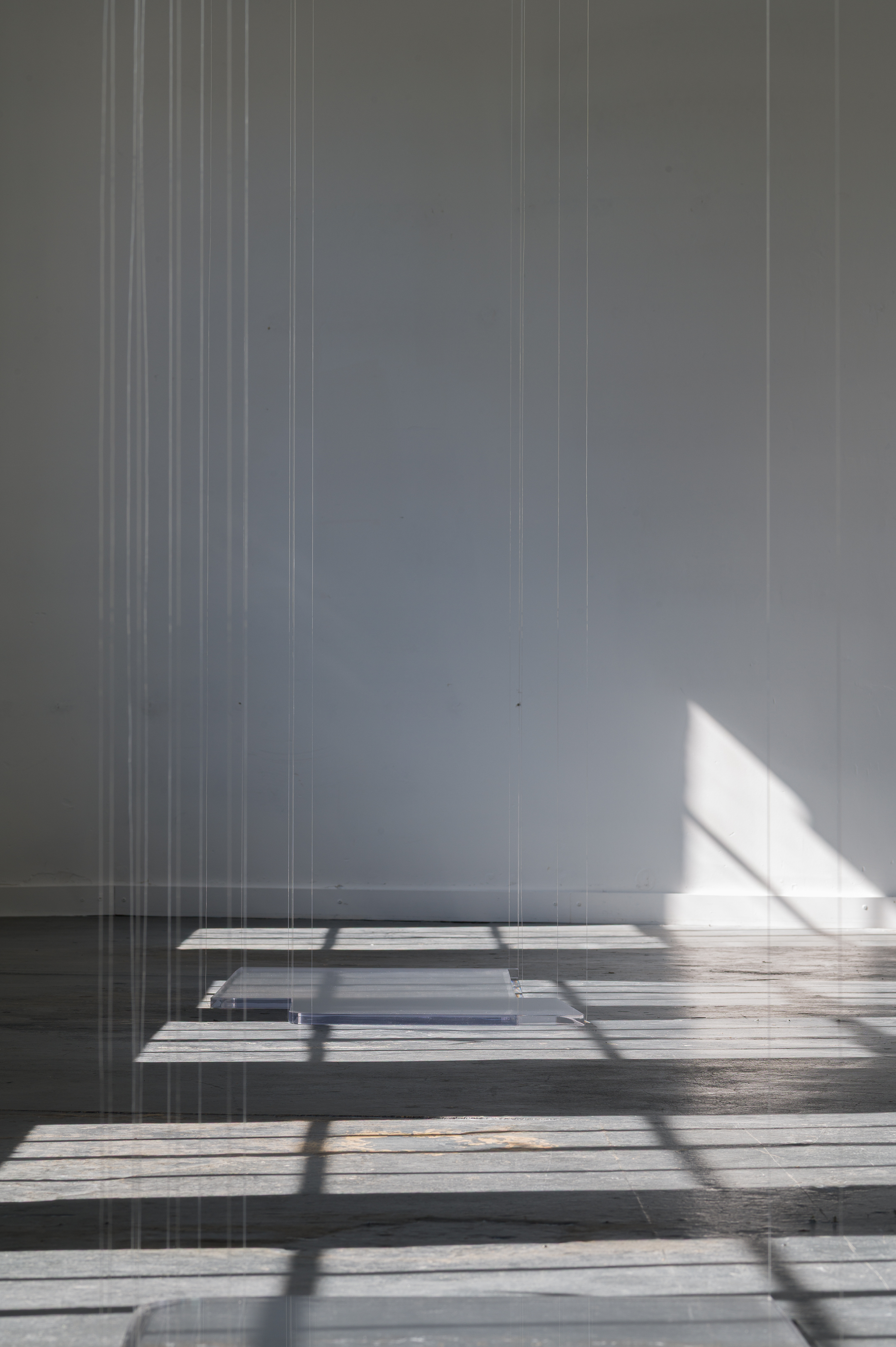 Outset, installation view, Level 4, 99 Willis Street, 4:20PM, 11 November 2025