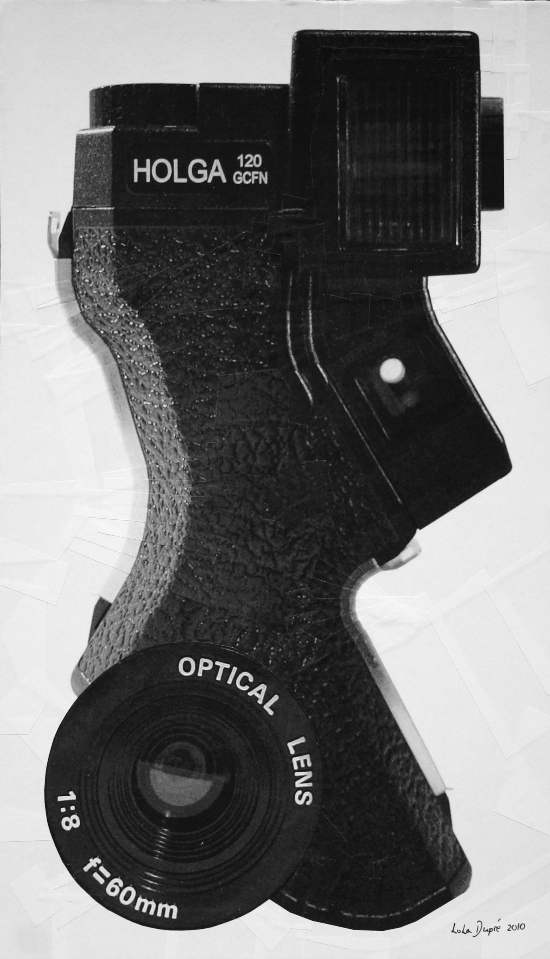 Holga 129 gfcn, 2010, 8.1 x 17.8 inches