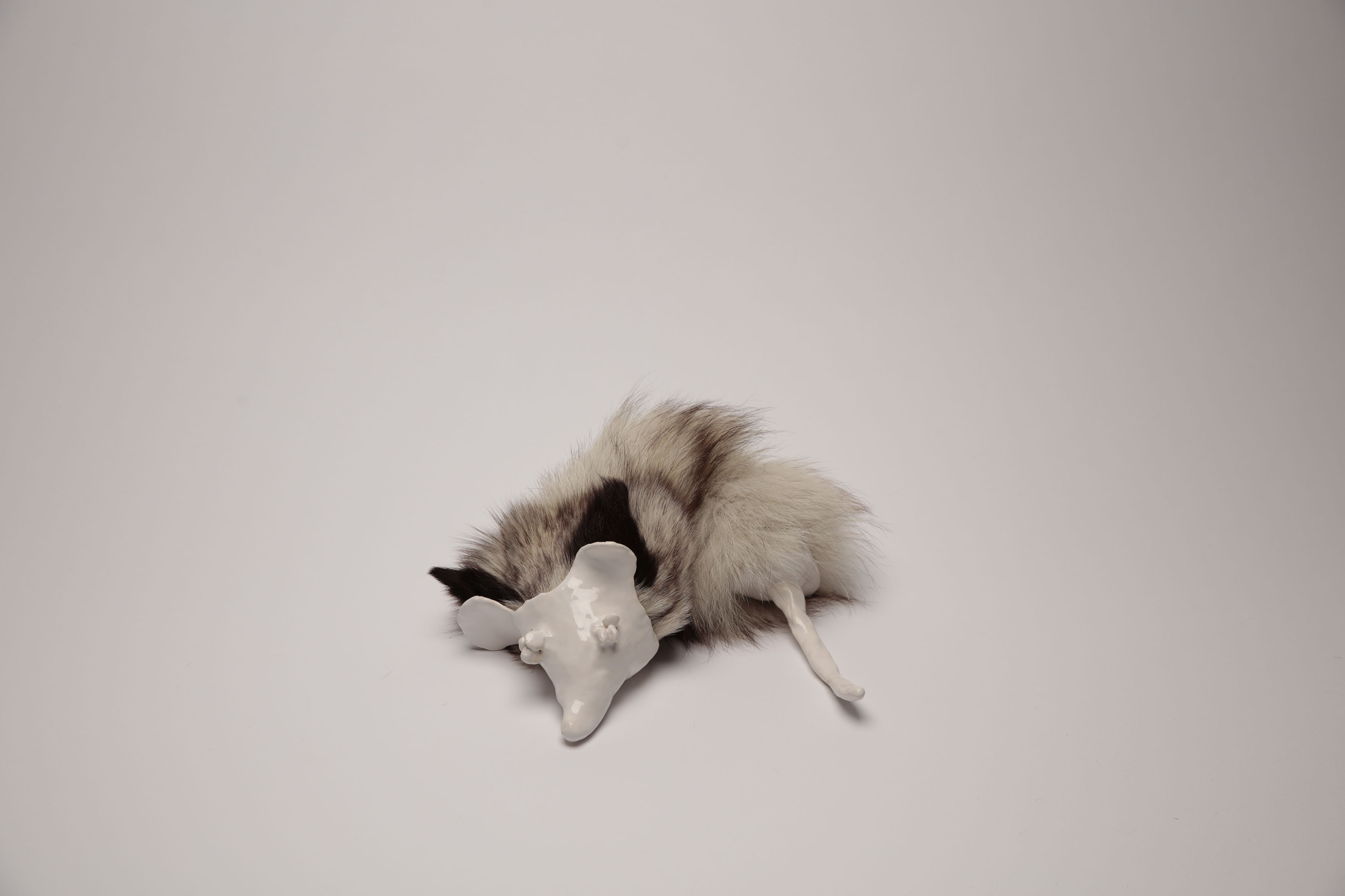 To sleep, perchance to dream, 2020-2022