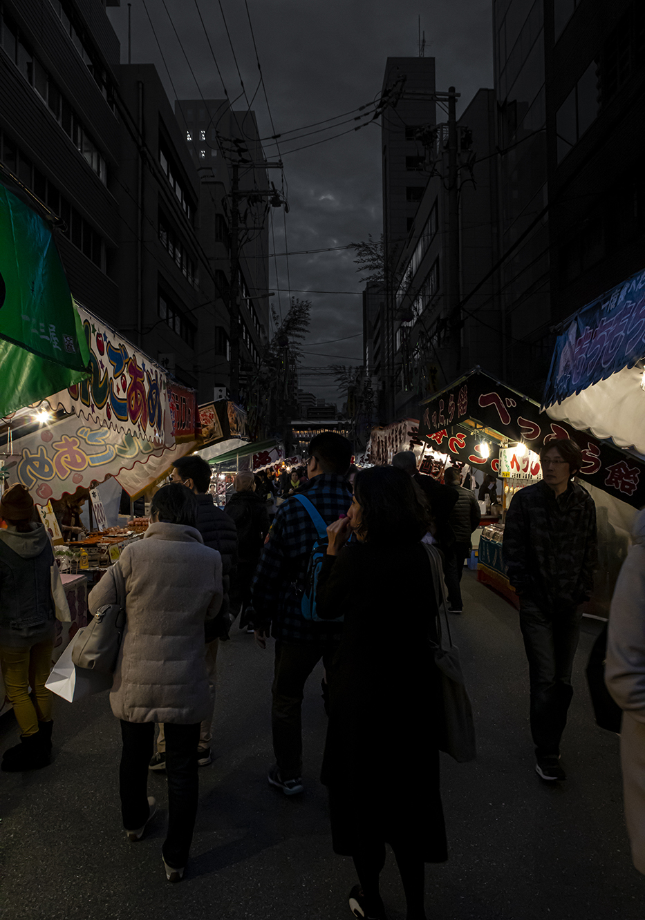 PHOTOGRAPHY RAF STUDIO  VILLA KUJOYAMA KYOTO ART CENTER SYNCHRONICITY EXHIBITION