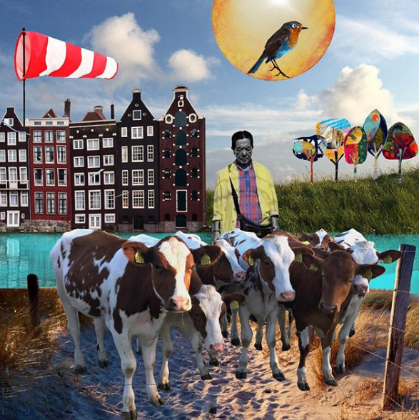 Ankie Luiken-Feldberg