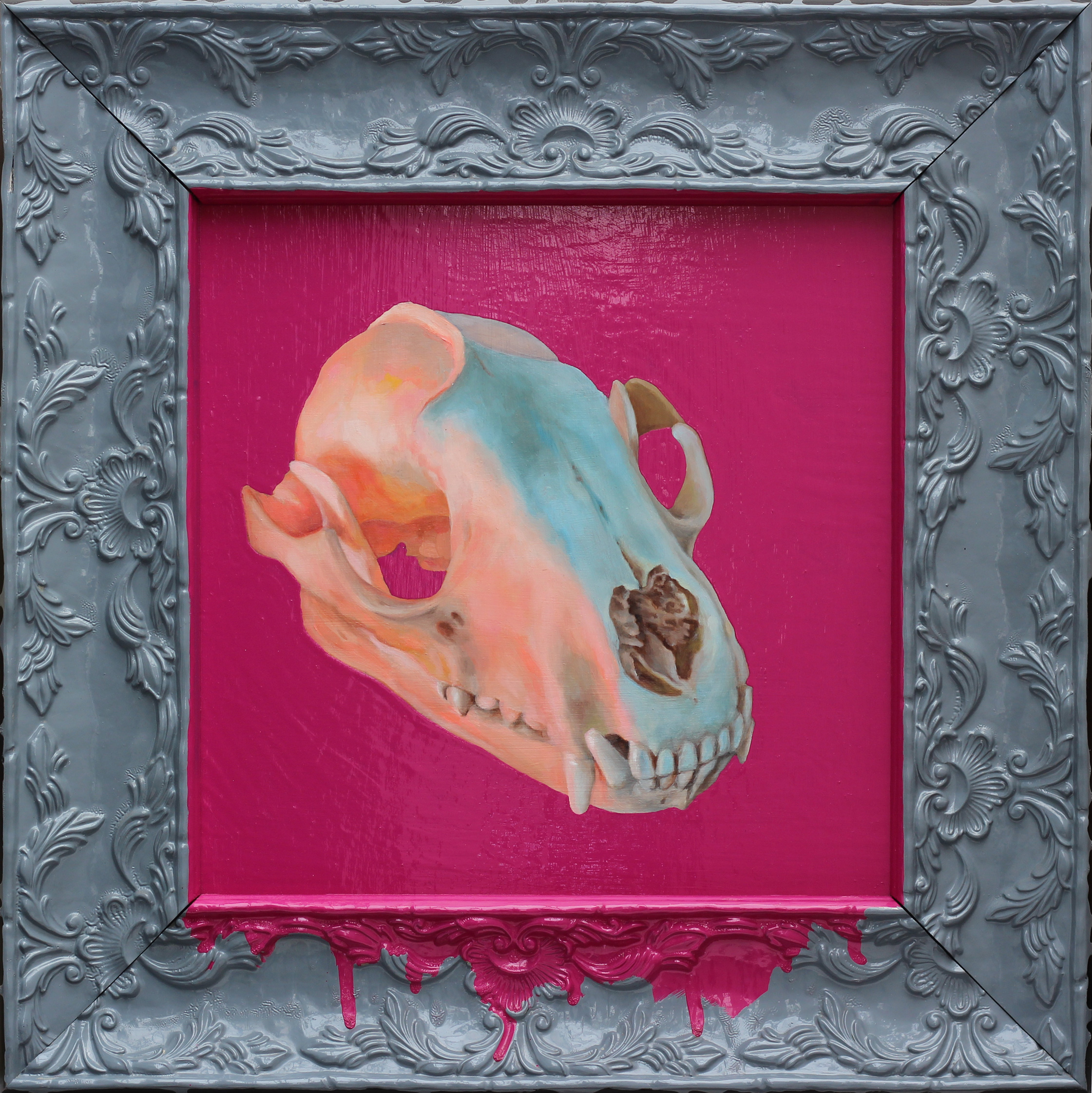 Color Skull 2 (Raccoon), 12"x12" Oil and Enamel on Wood 