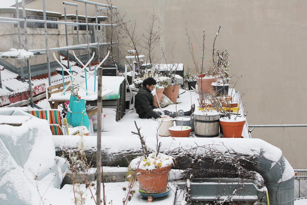 Untitled#47(from the series chameleon), c-print on dibond, variable size, 2020