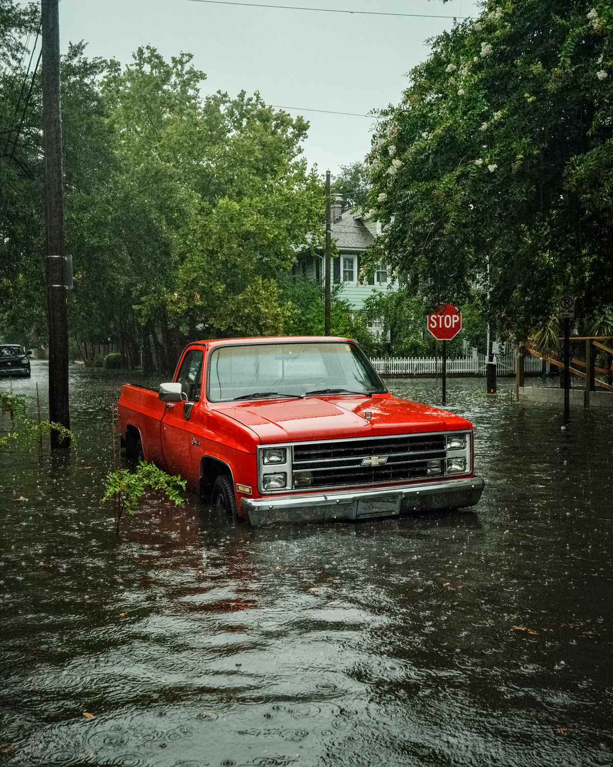 Charleston - July