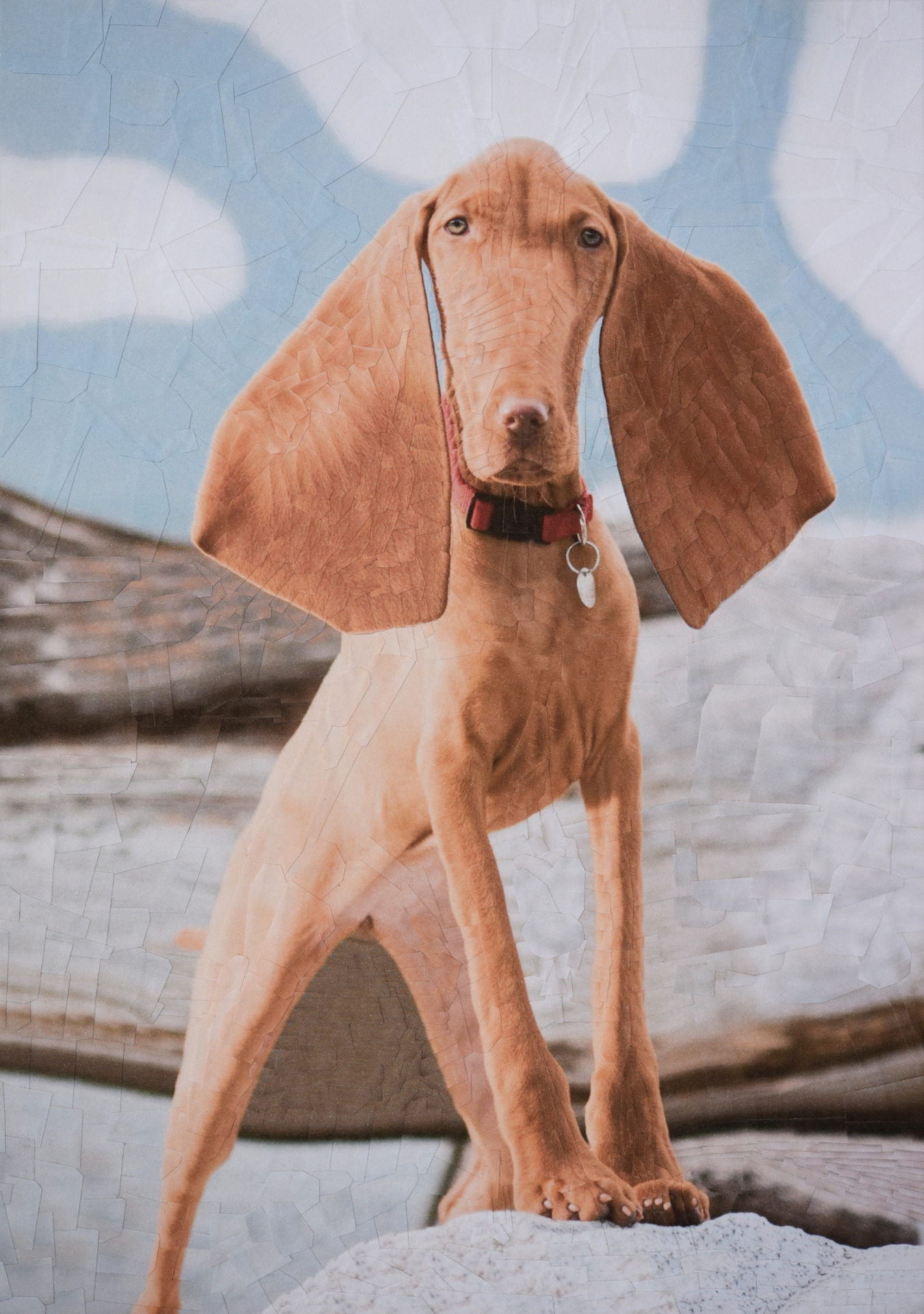 Whiskey, 2018, 8.27 x 11.69 inches