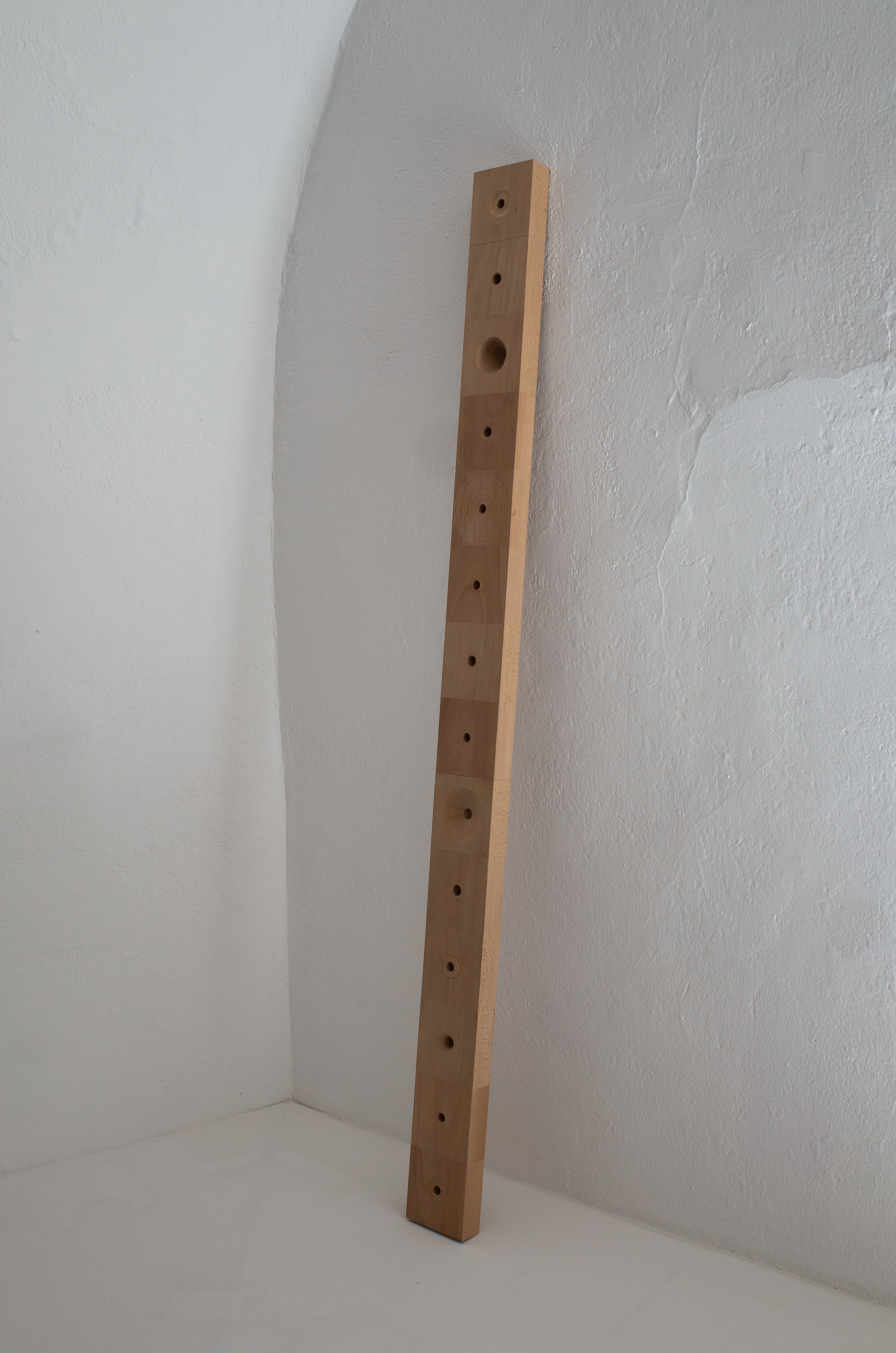 Trous, Villa Noailles, 2020