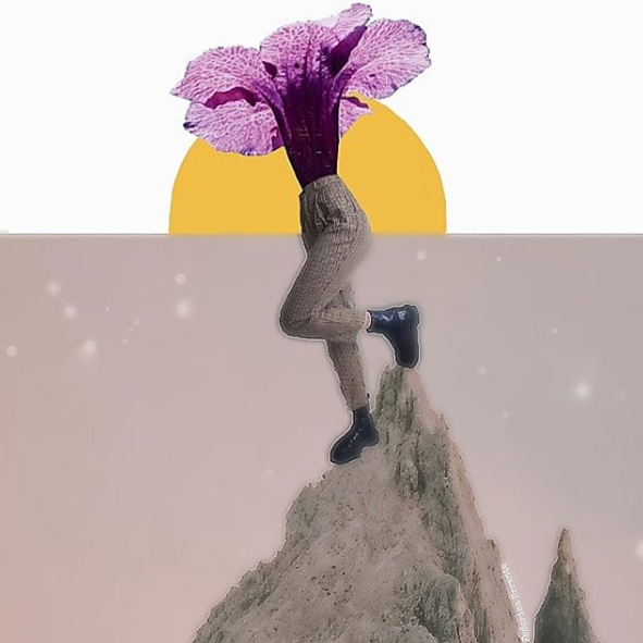 Federica Errante Calcomanías