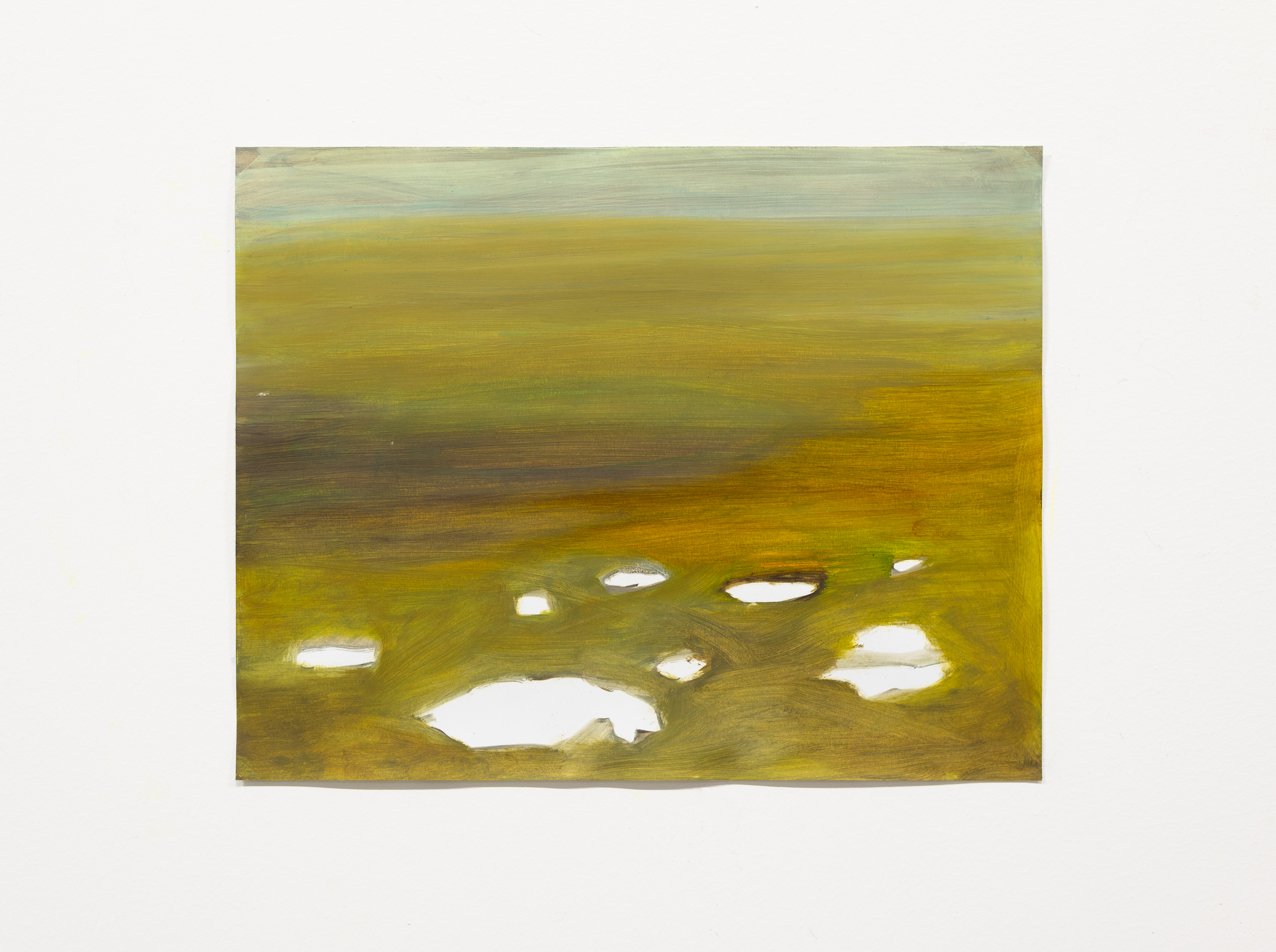 ground after snow melt