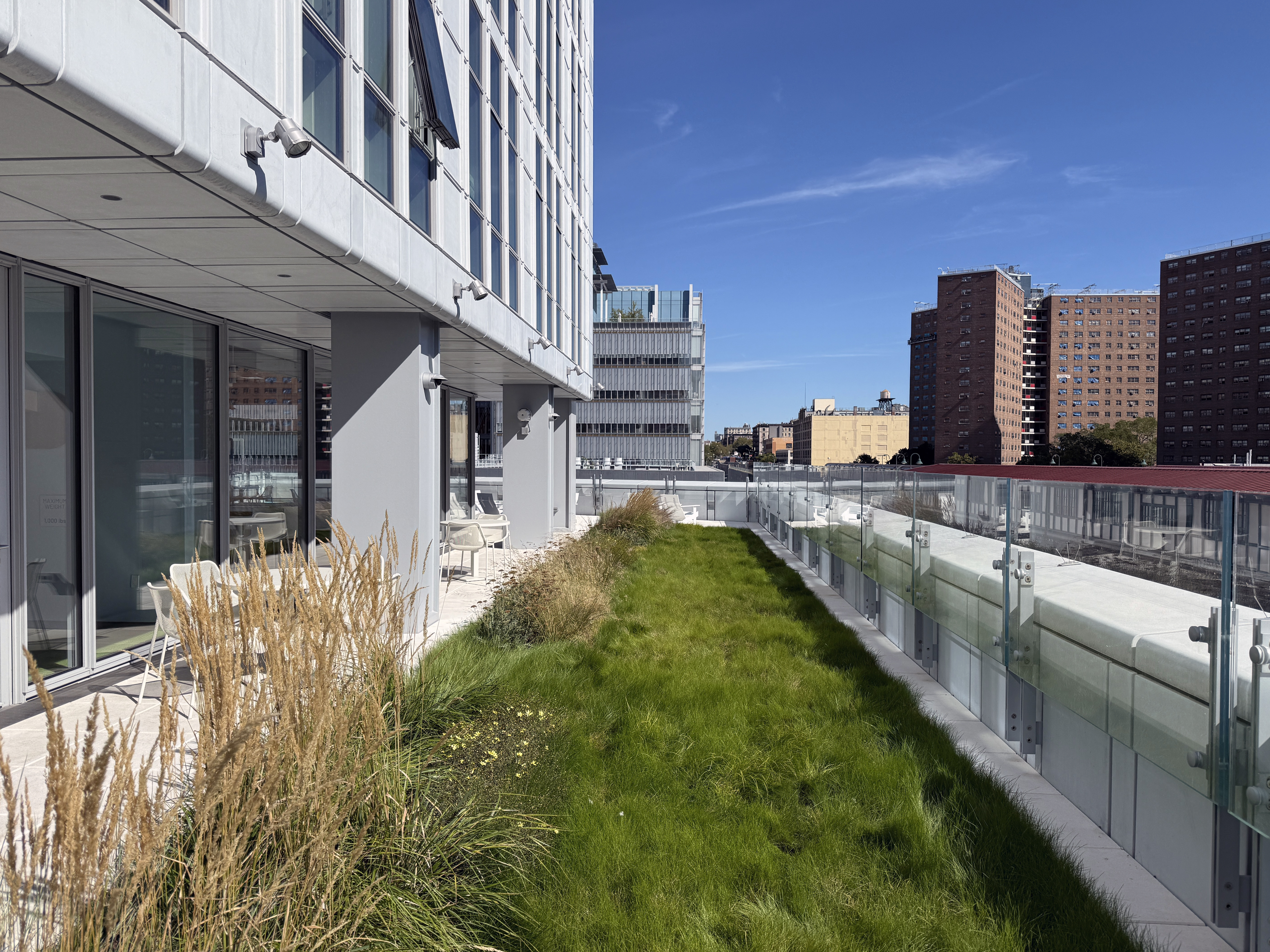 Level 6 Amenity Terrace