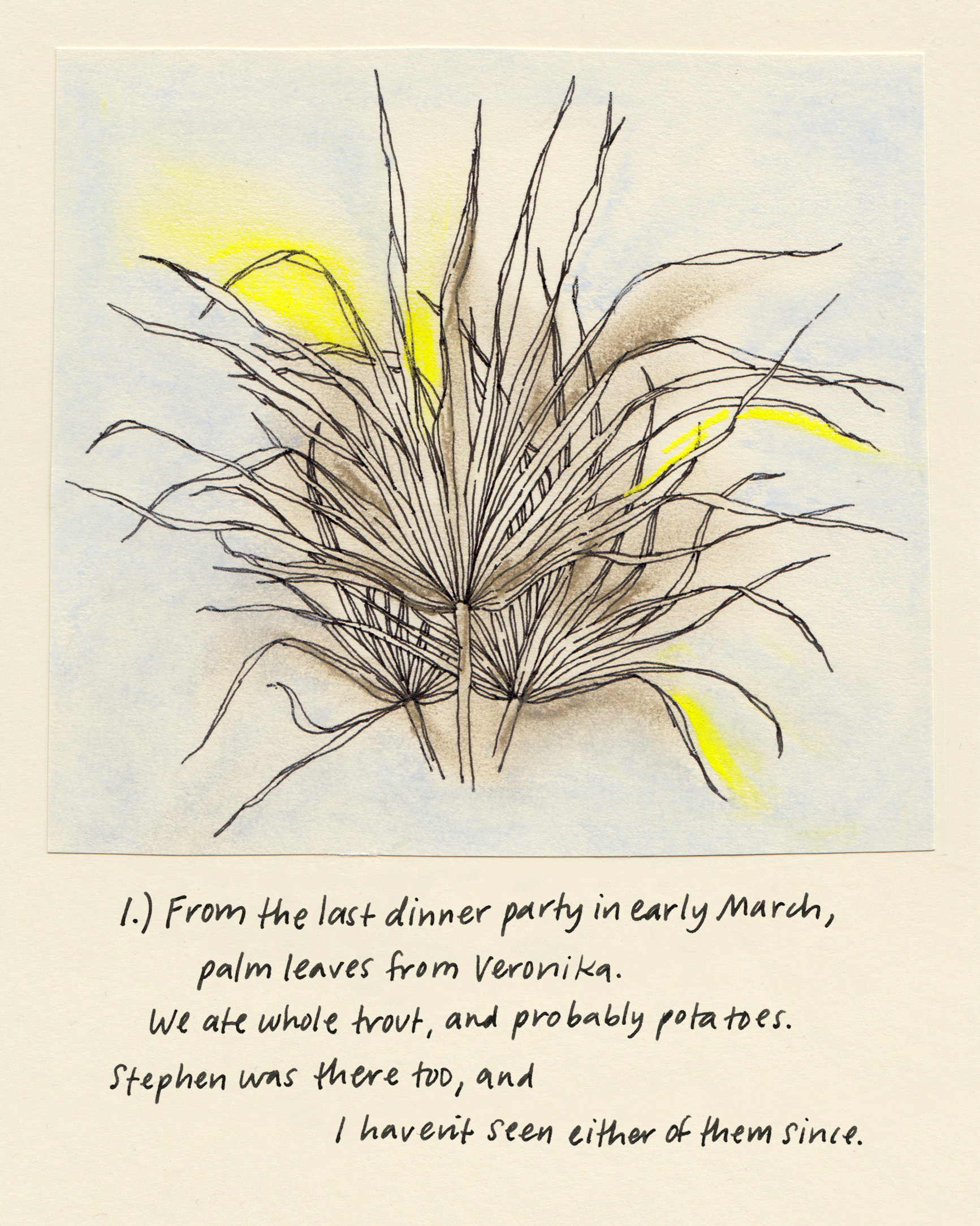 Pandemic Flowers ︎︎︎