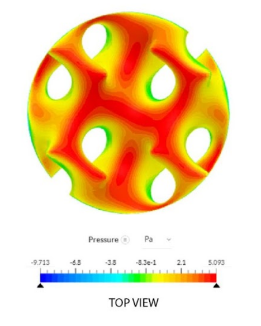 credit: Elaine Forbush