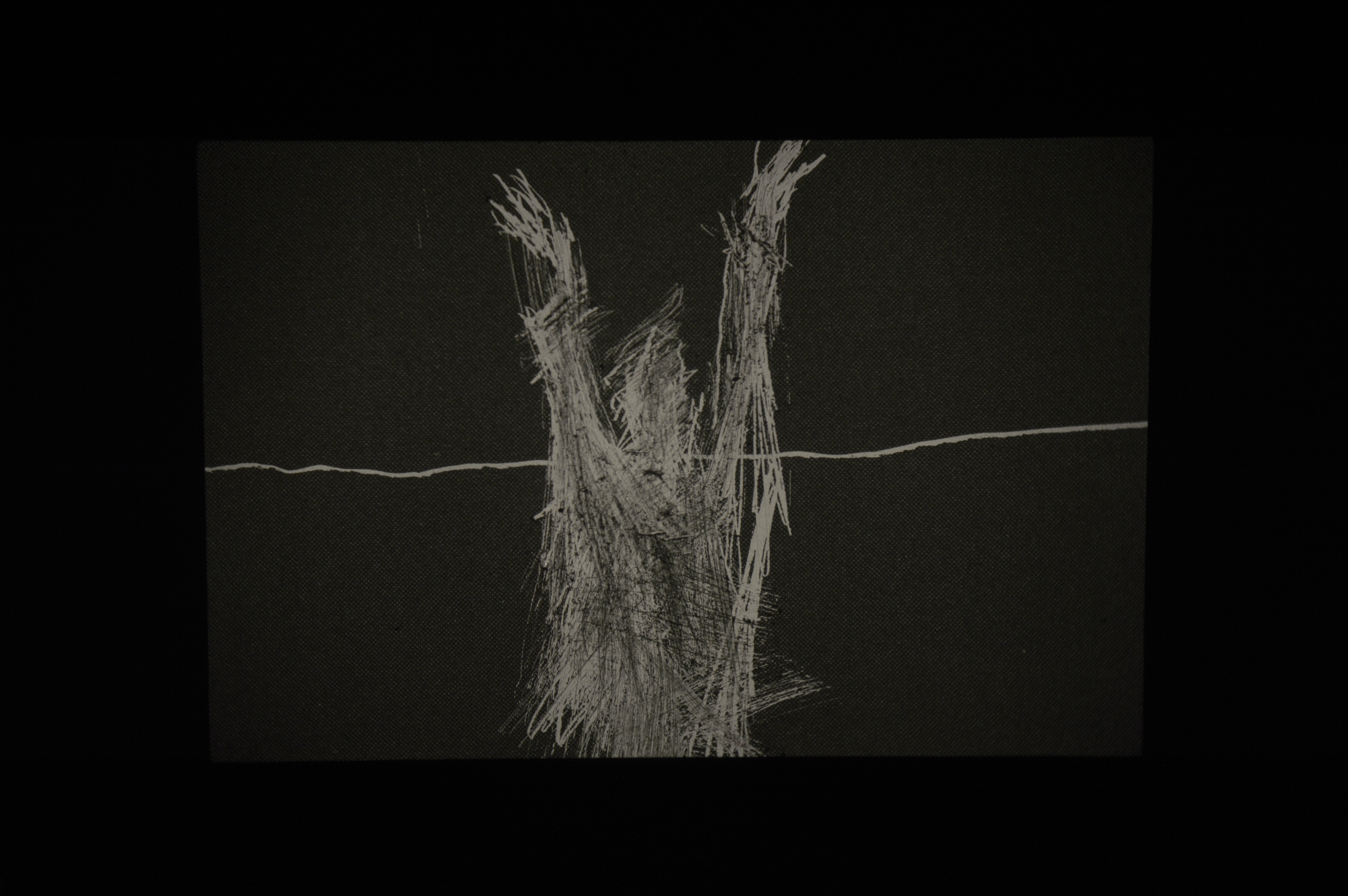 A SOMBRA DÁ DE SI / THE SHADOW GIVES OF ITSELF