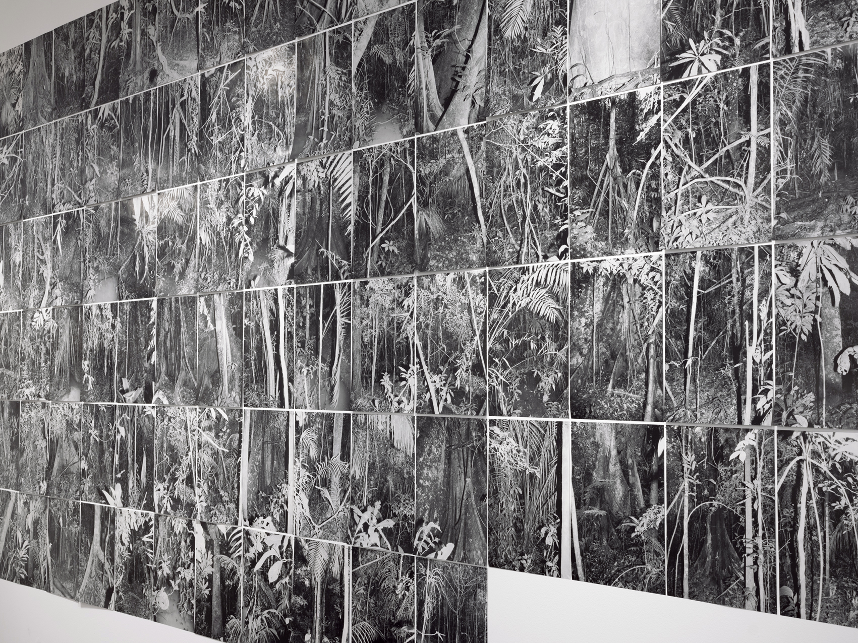 Iberia. Bòlit Centre d'art contemporani Girona. February 2020