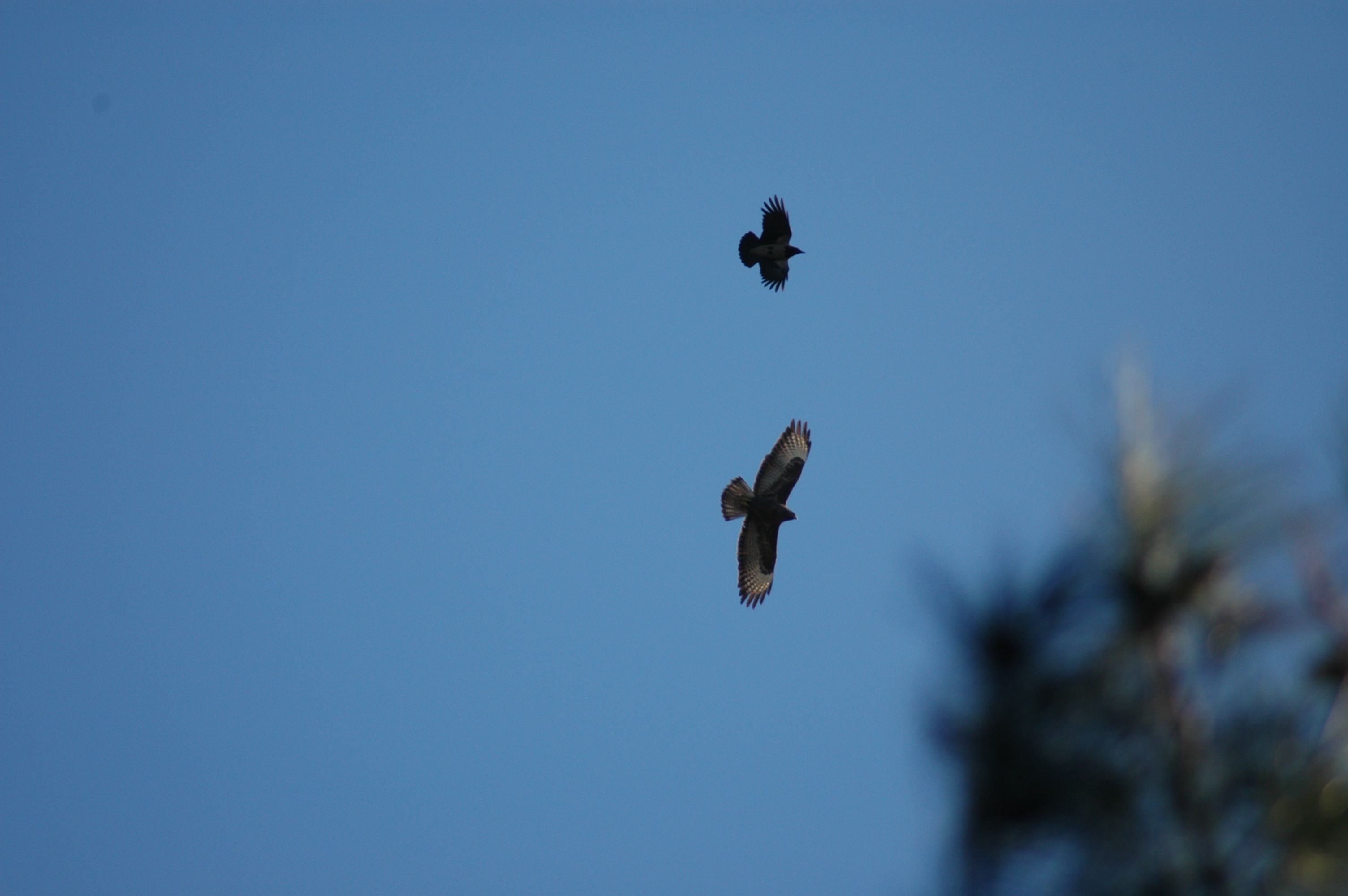 14.12.2024, A Kapısı