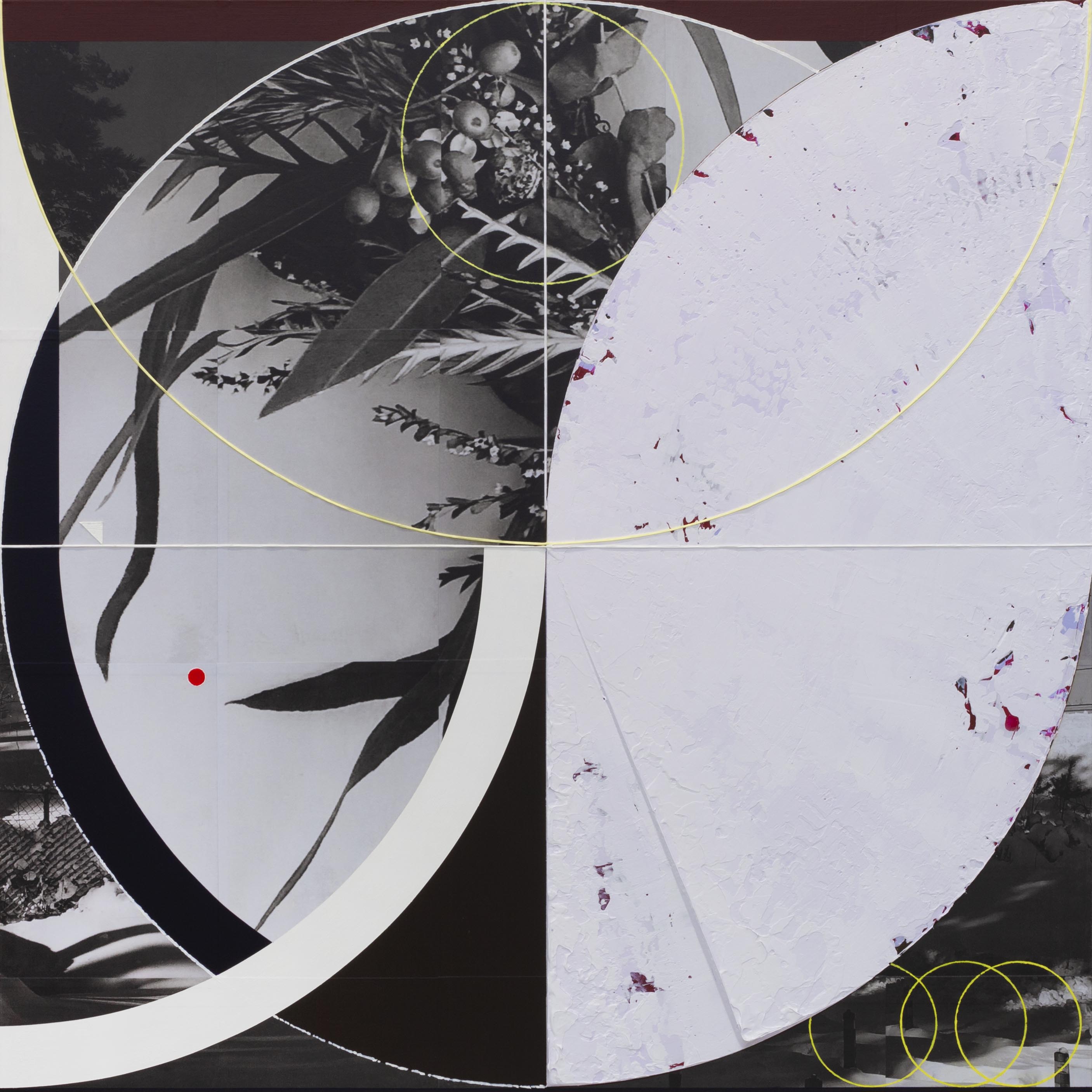 Eclipse in the Garden, 2024, acrylic and photo collage on canvas, 91 x 91 cm