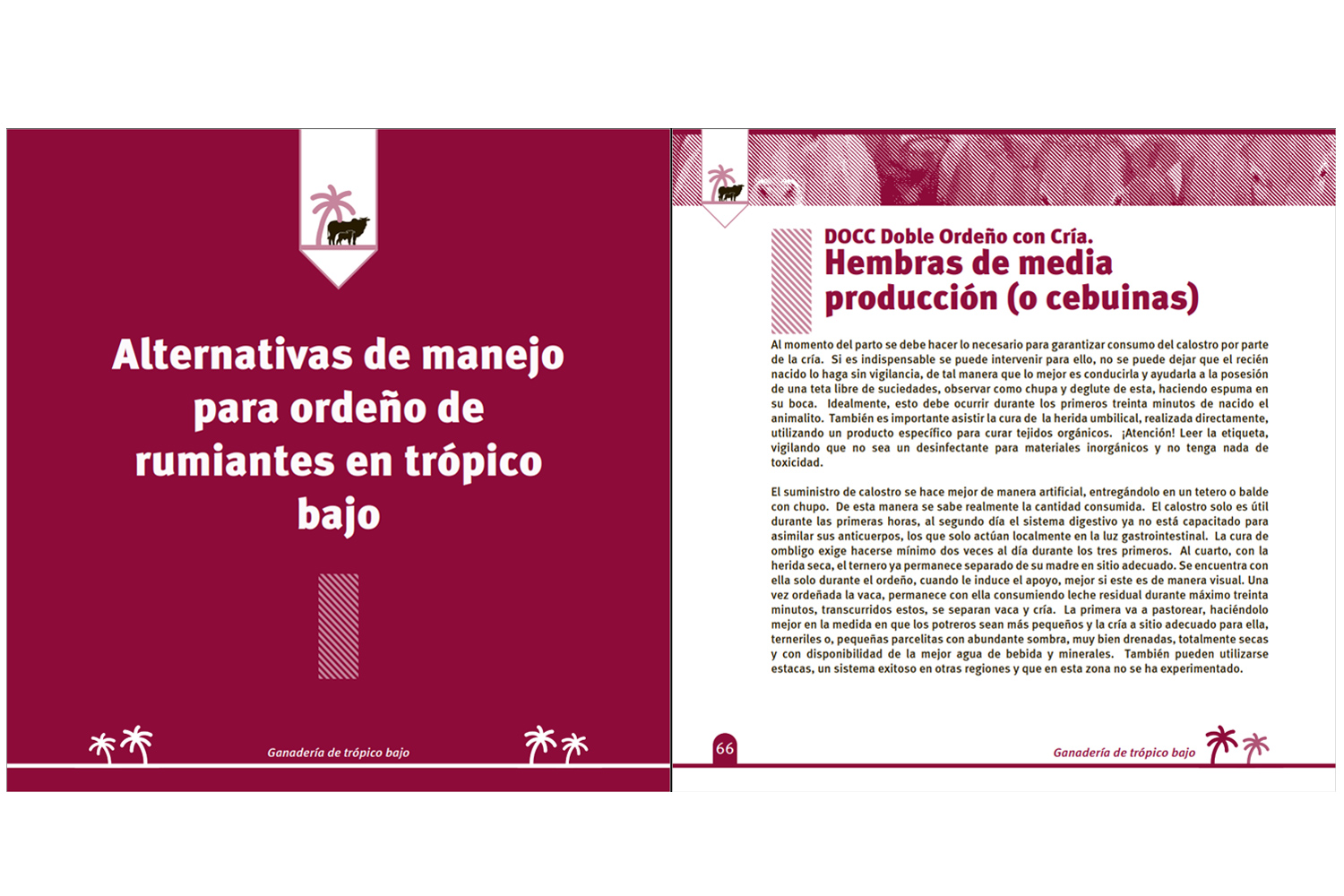 2014/ Conception éditoriale "Manuel pour le bas tropique" - Fedegan