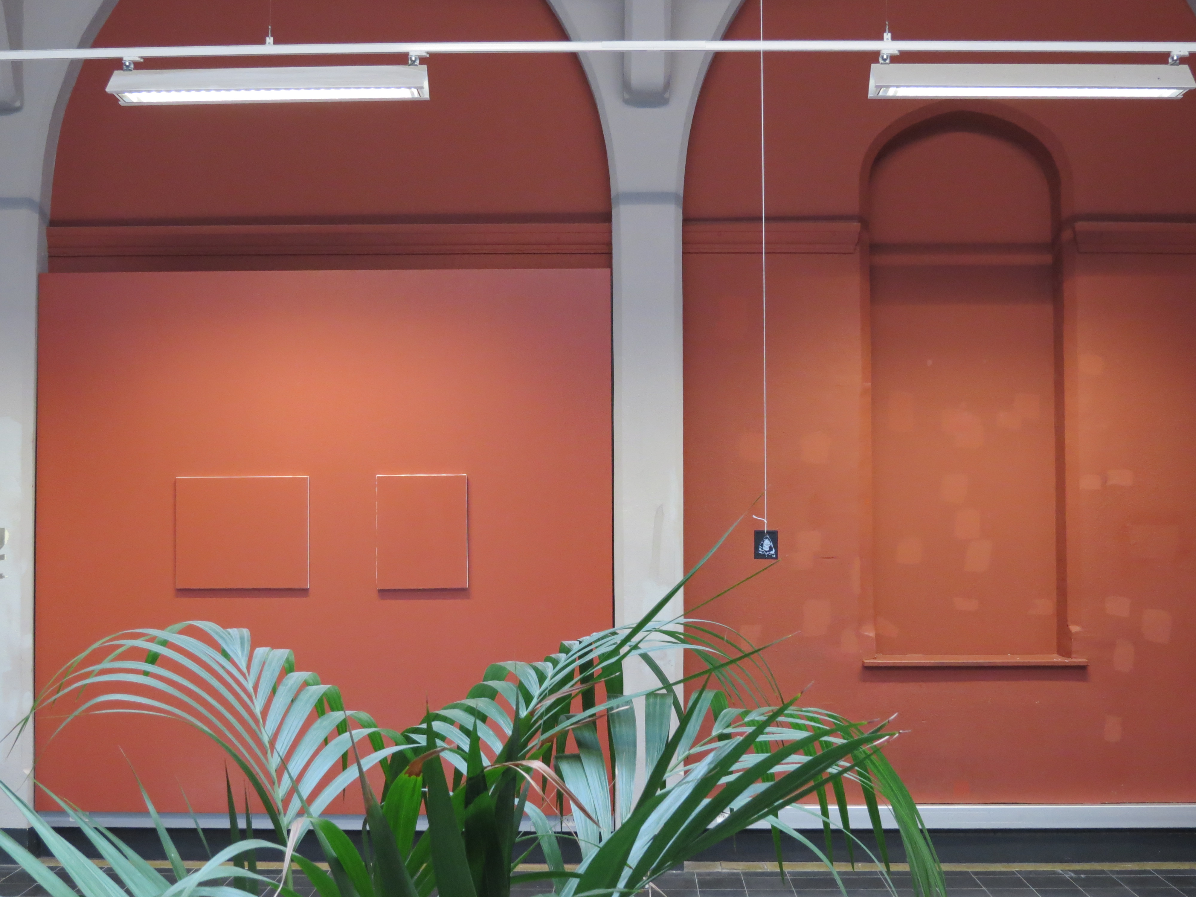 ⬆ Luke's little summer, 2018